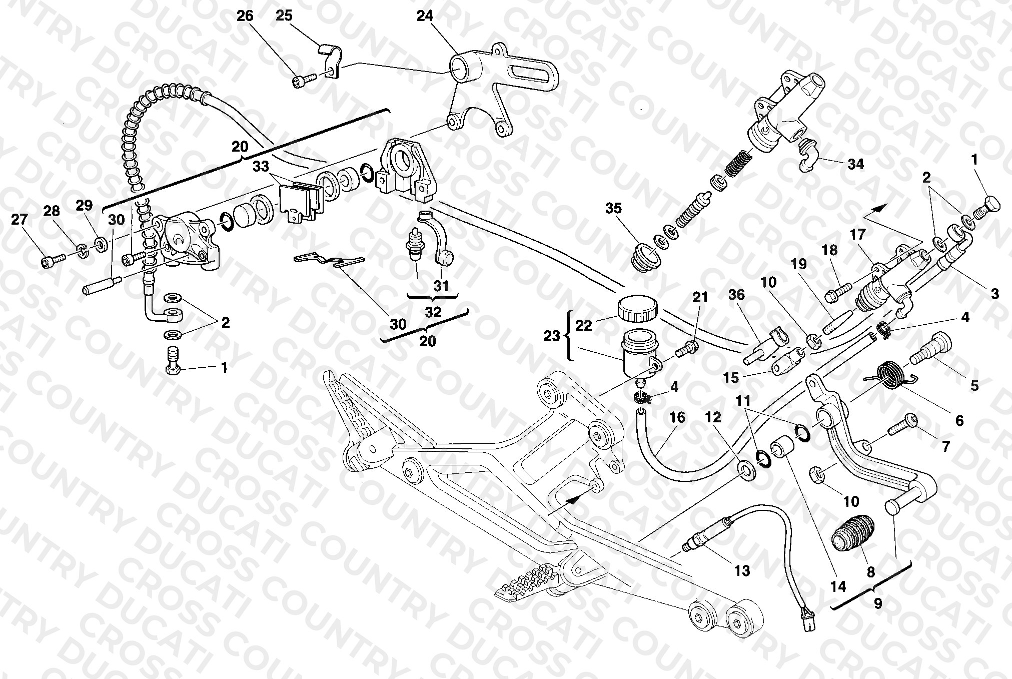 Rear Brake System