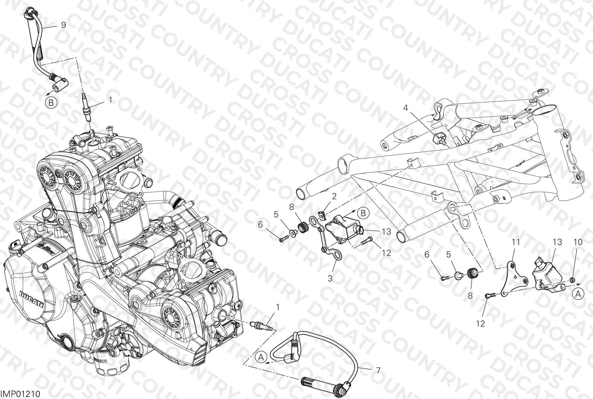 Wiring Harness (Coil)