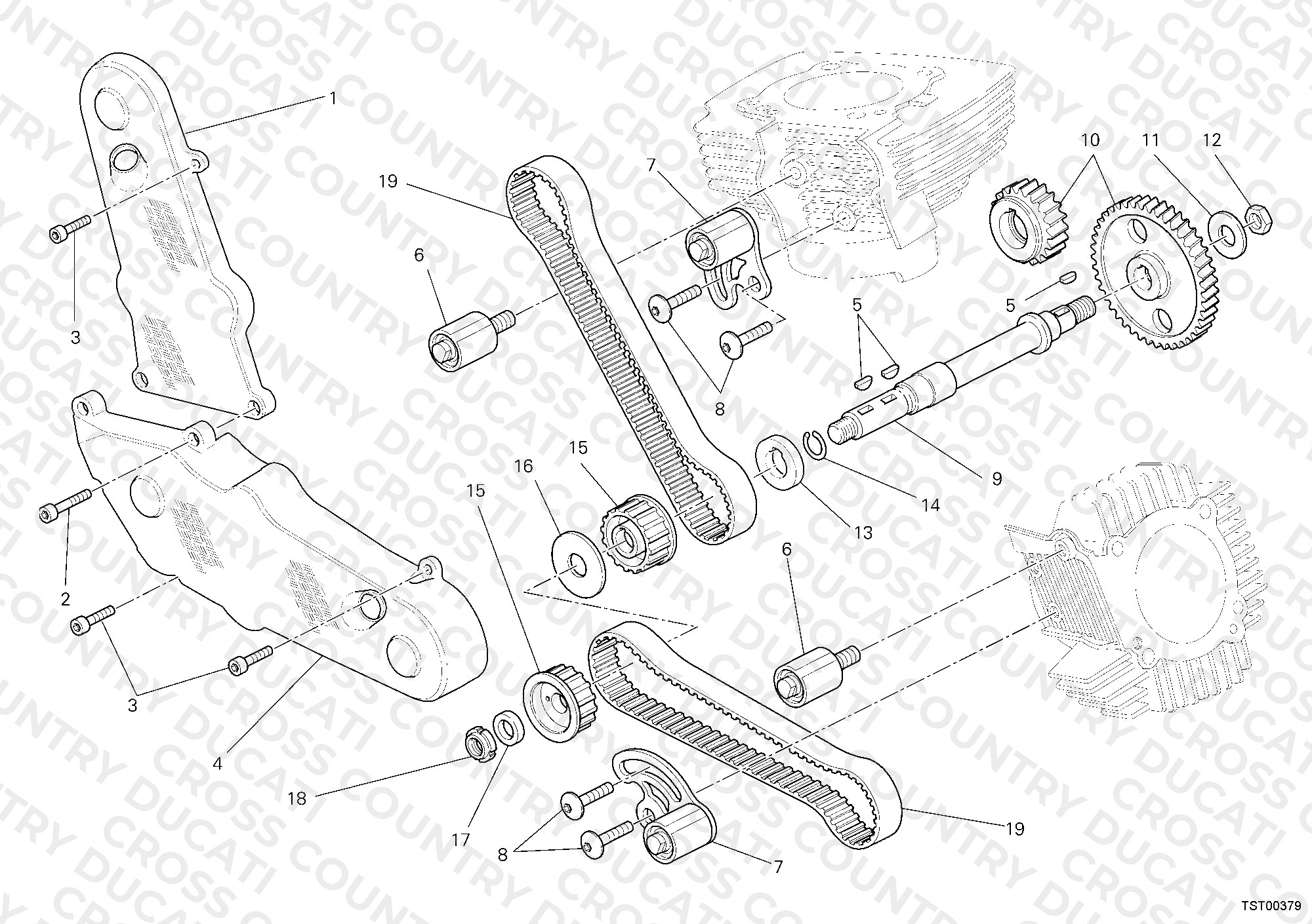 Timing Belt