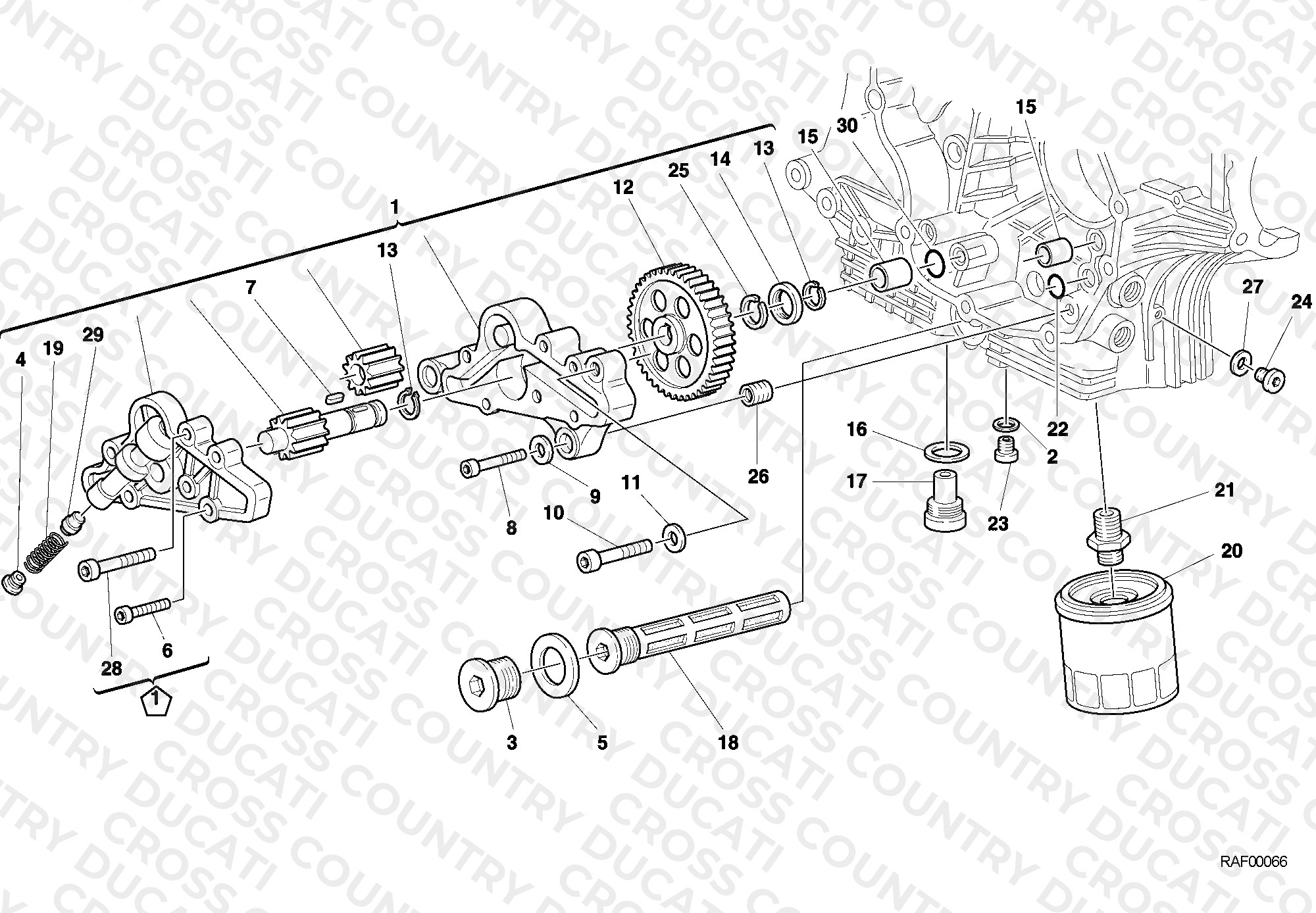 Oil Pump - Filter