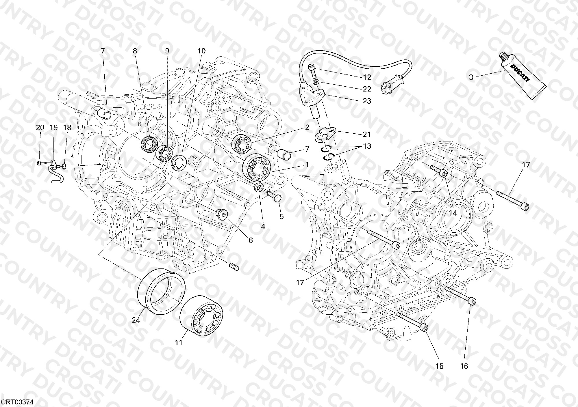 Crankcase Bearings