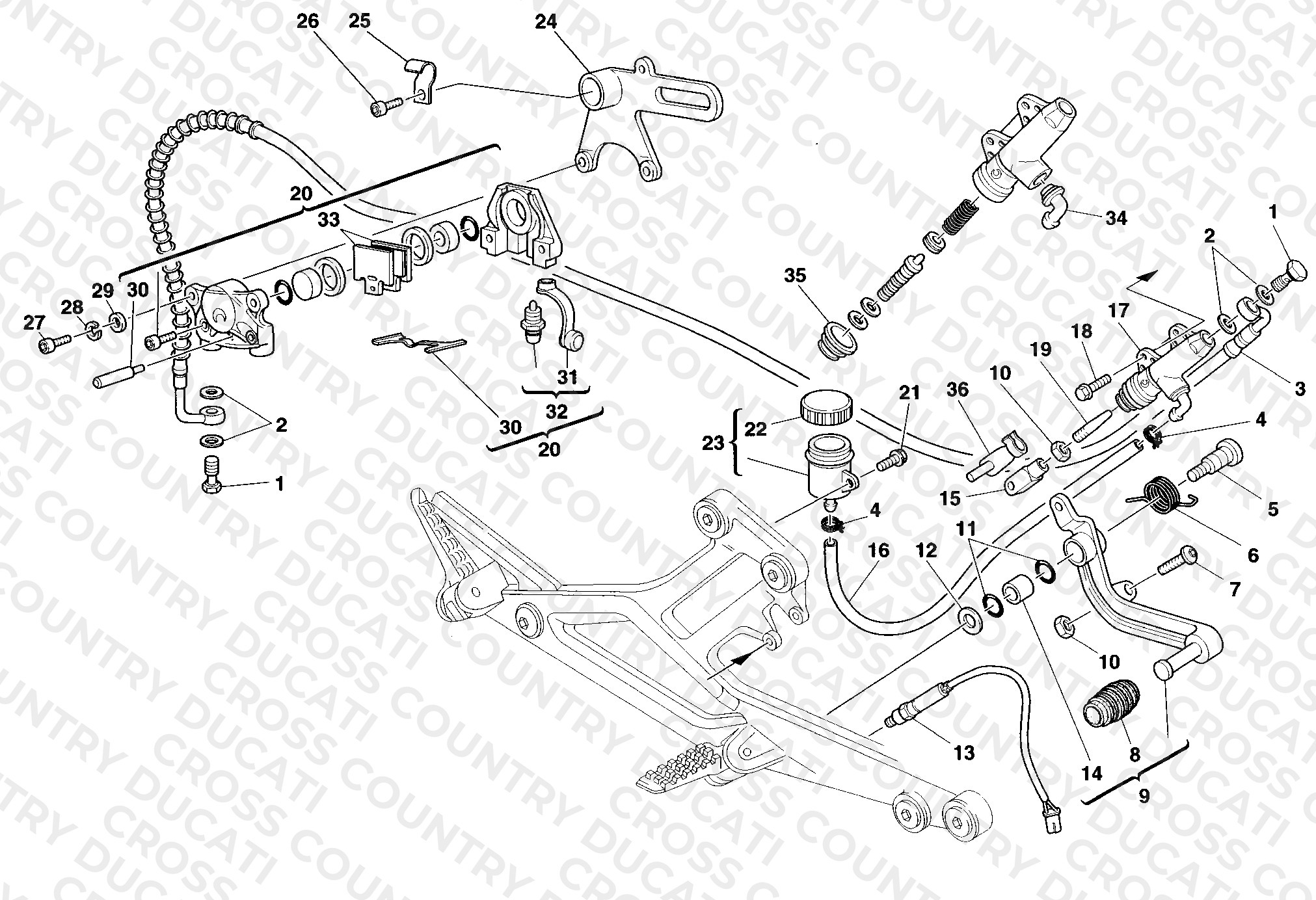 Rear Brake System