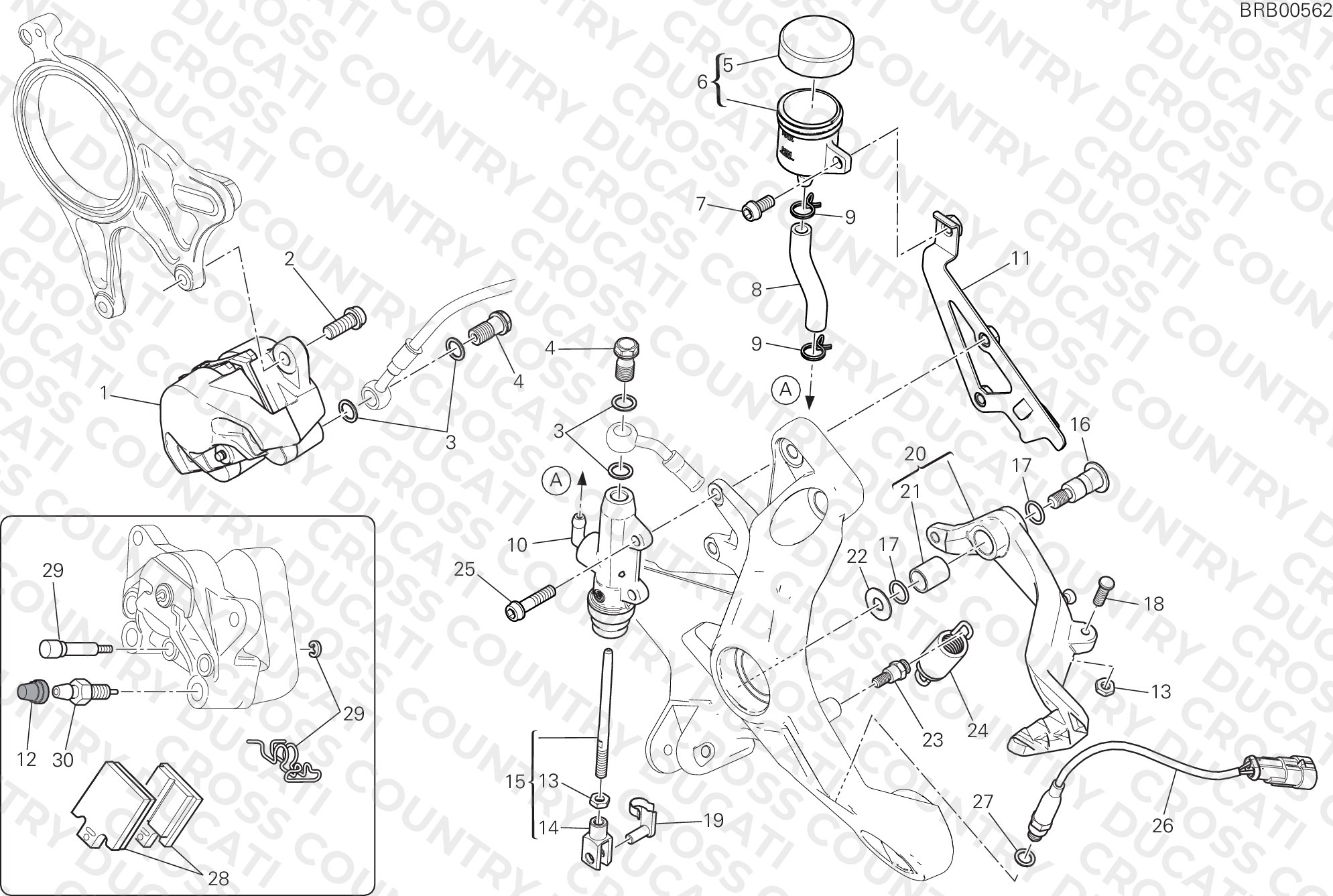 Rear Brake System