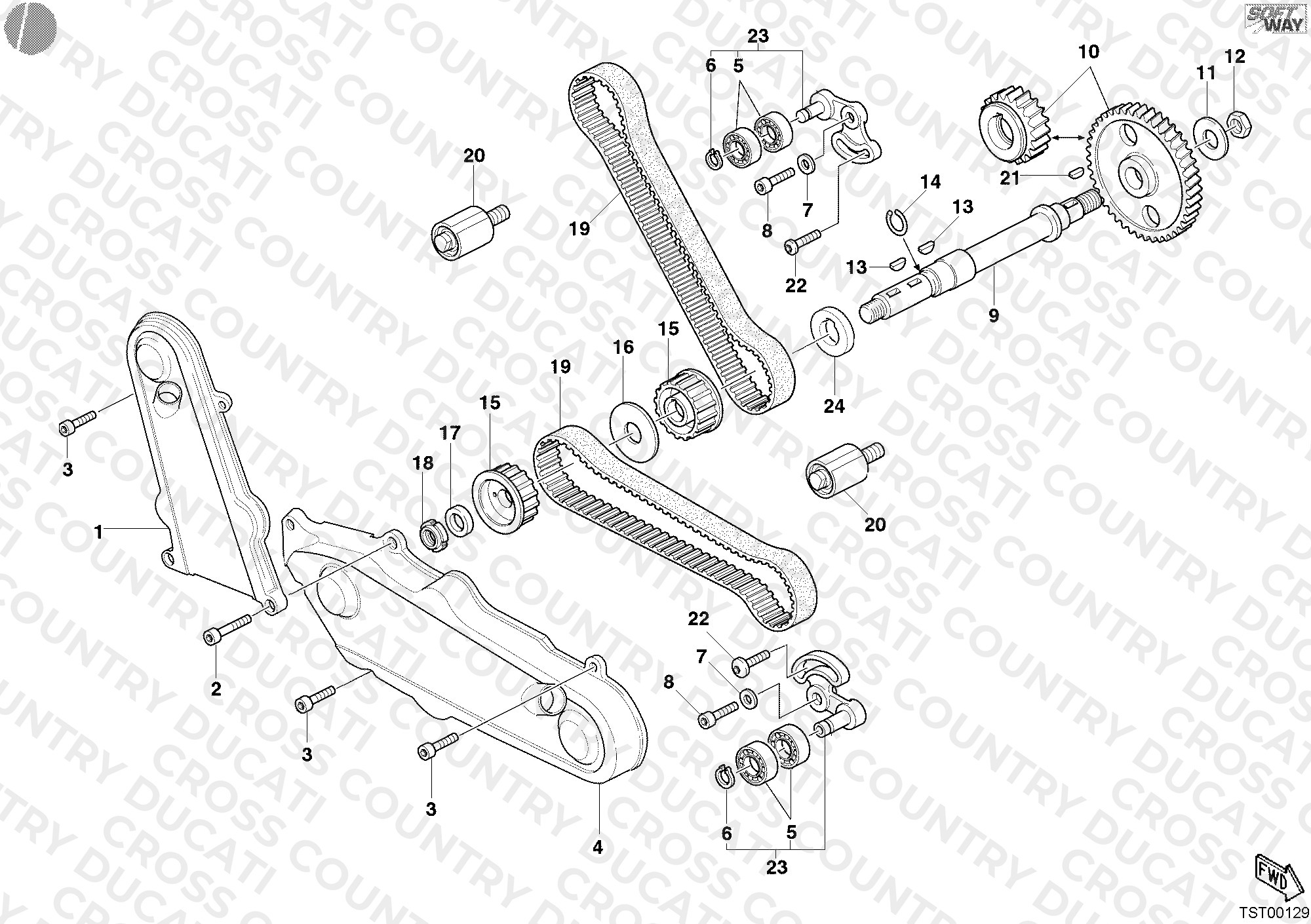 Timing Belt