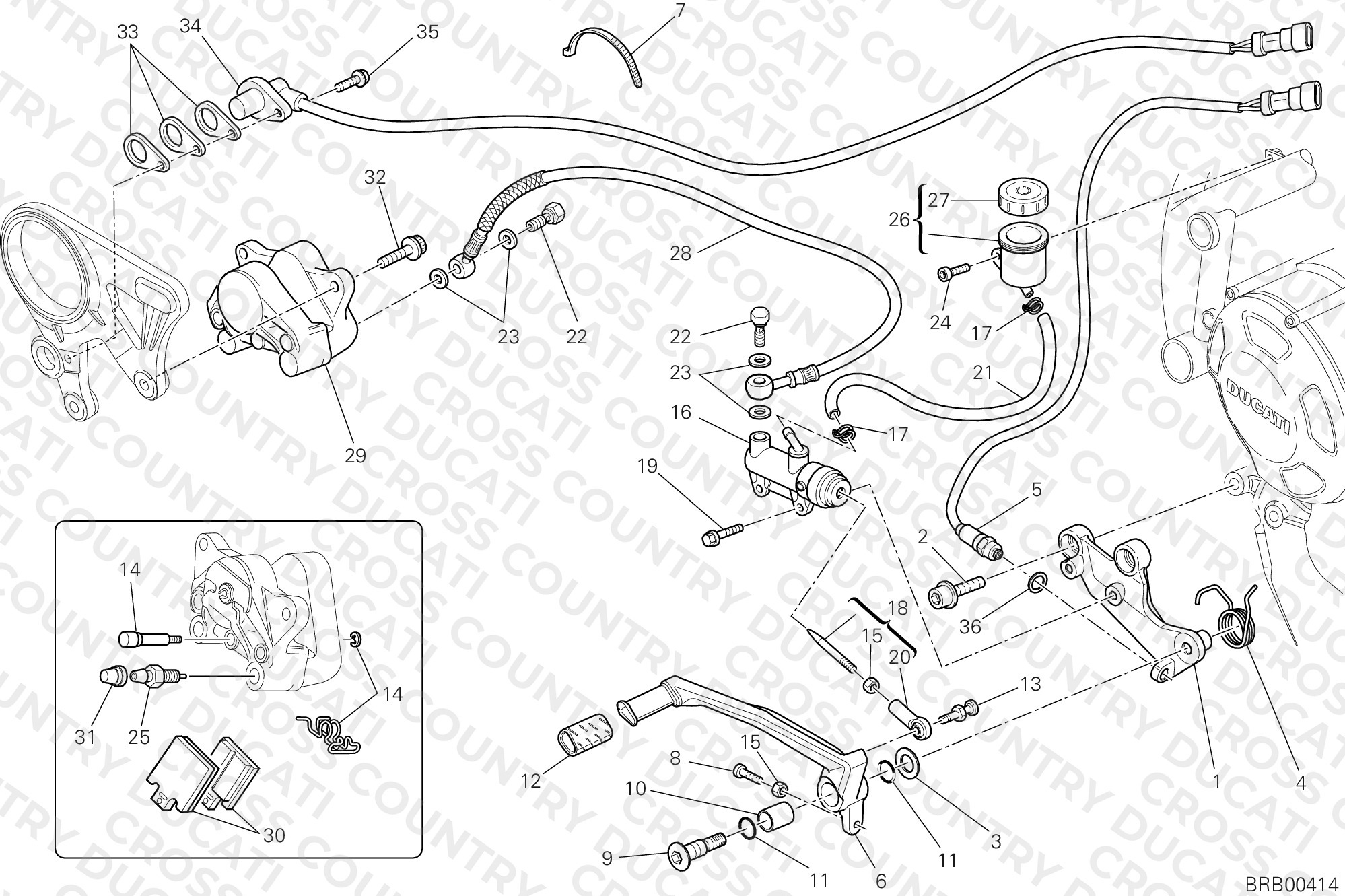 Rear Brake System