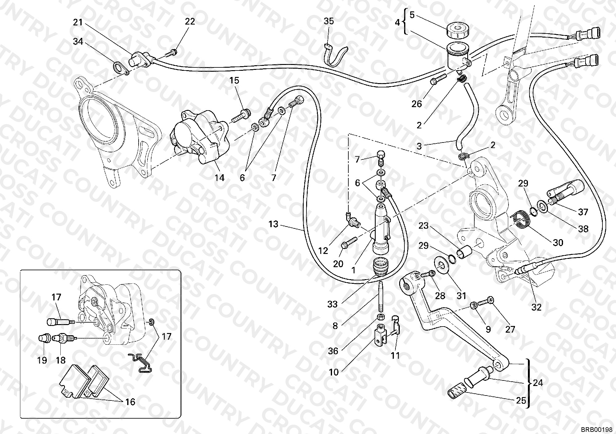 Rear Brake System