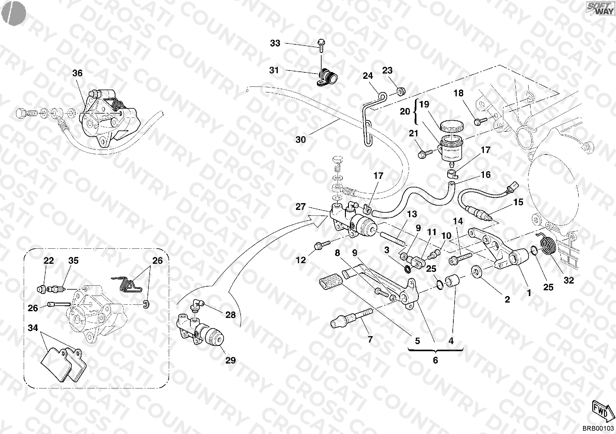 Rear Brake System