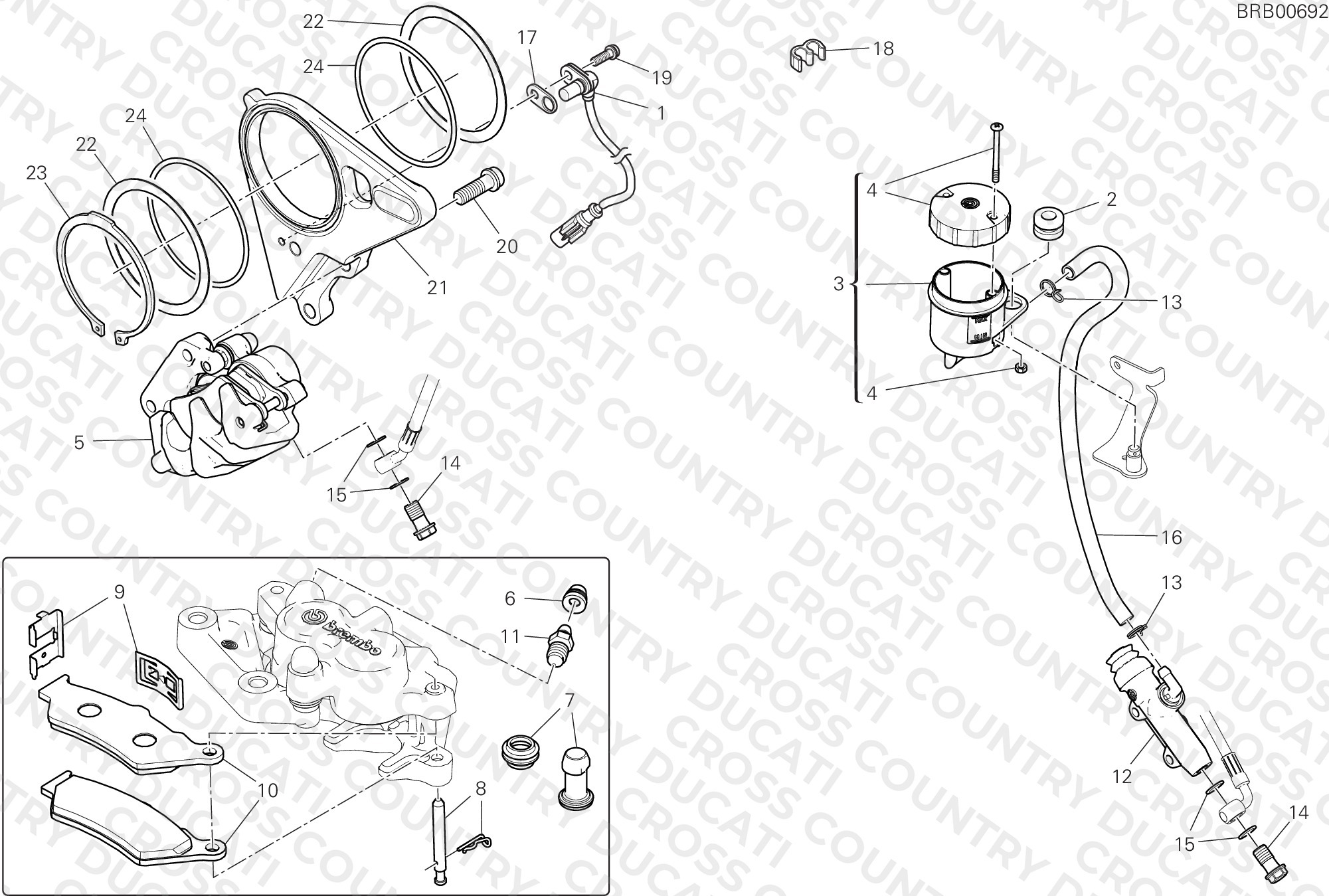 Rear Brake System