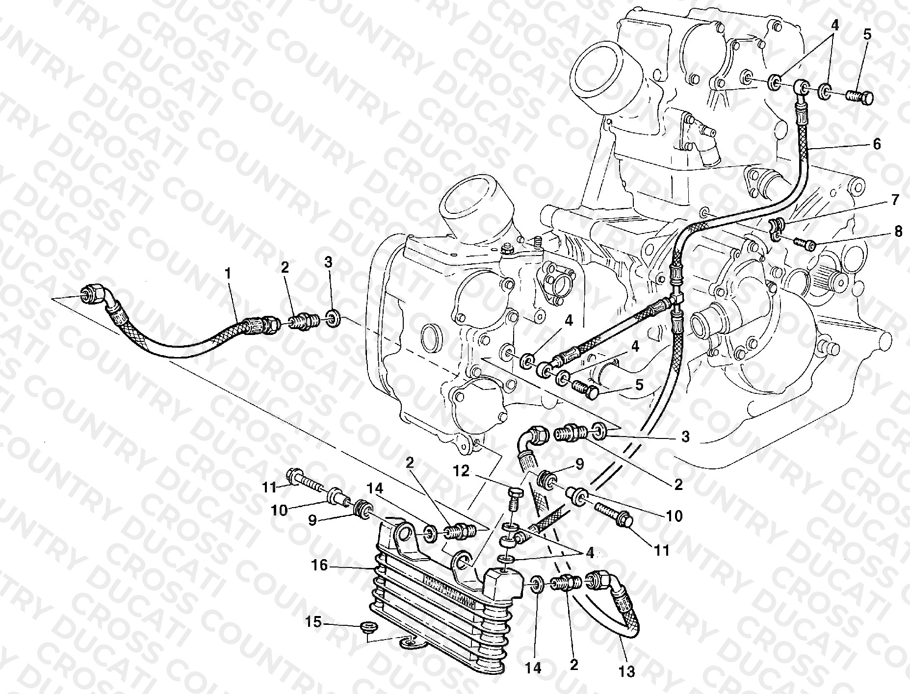 Oil Cooler