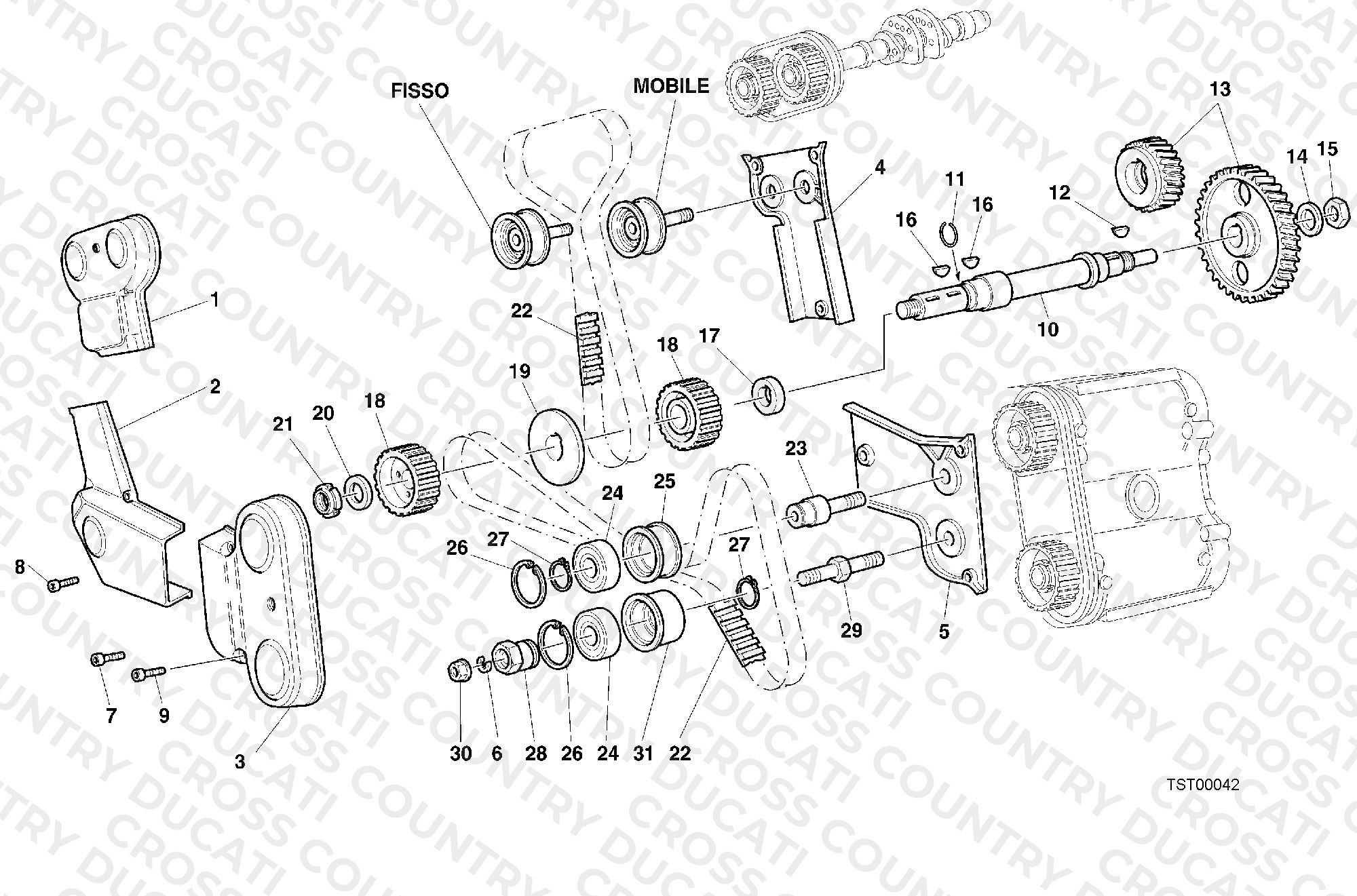 Timing Belt