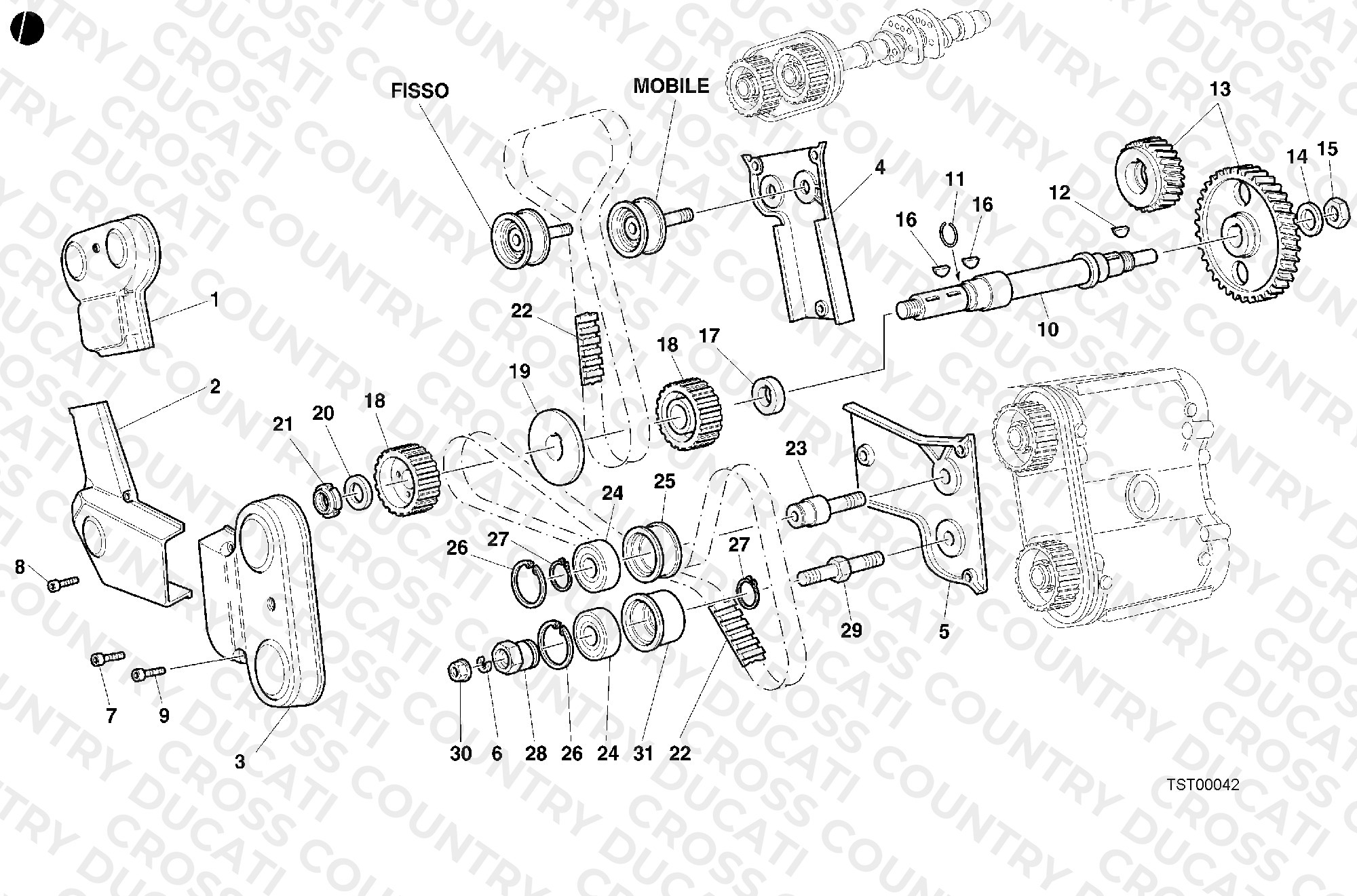 Timing Belt