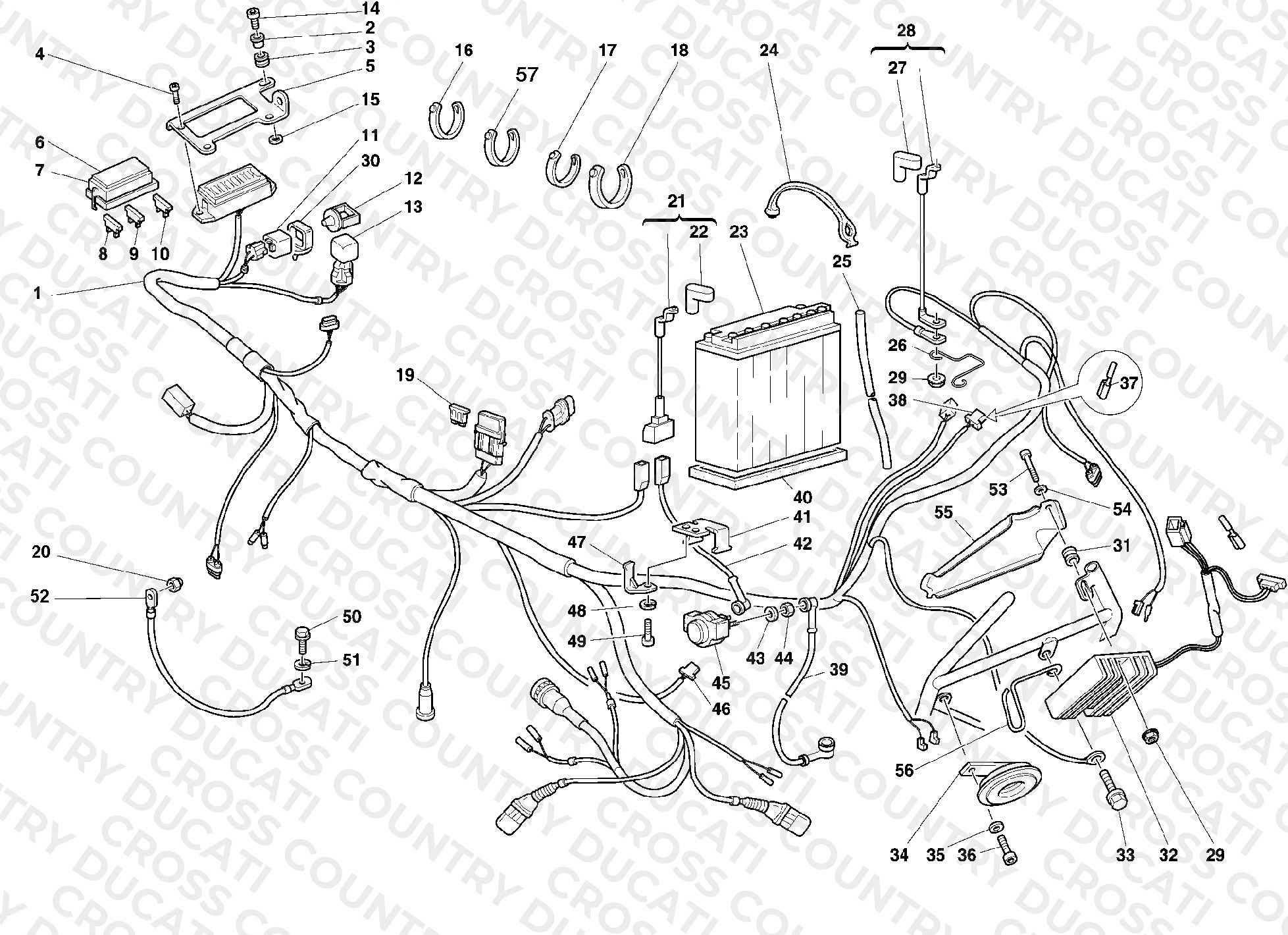 Wiring Harness