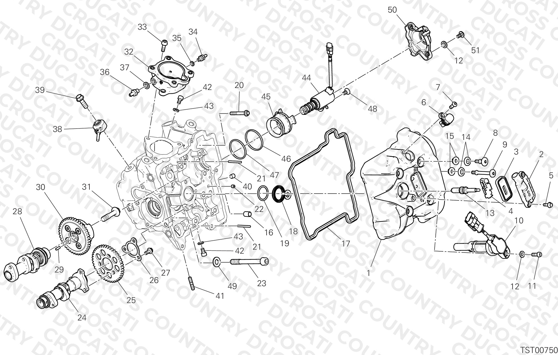 Horizontal Head – Timing System