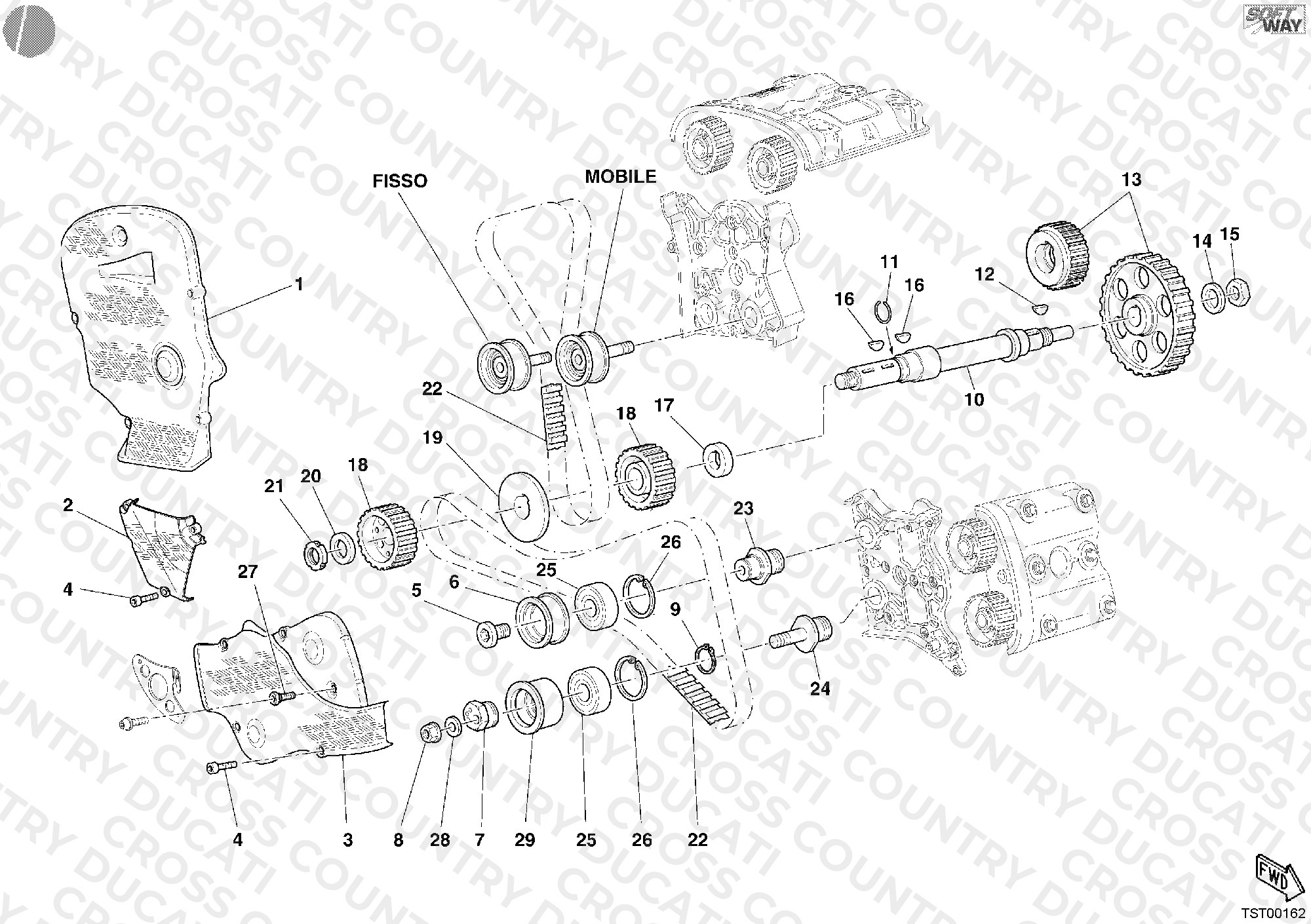 Timing Belt