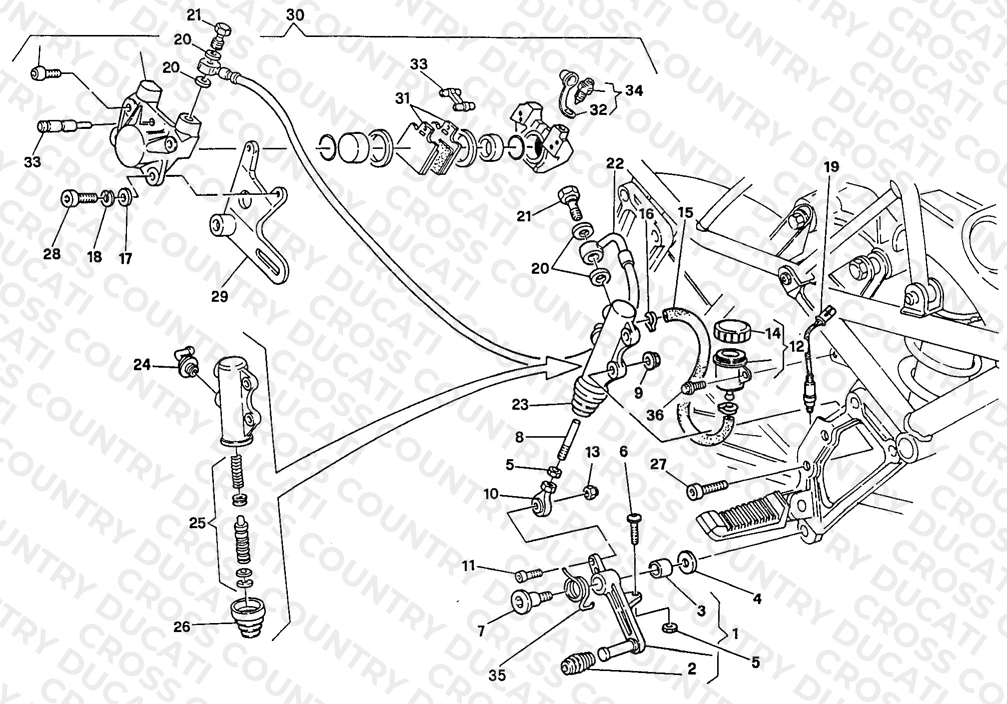 Rear Brake System