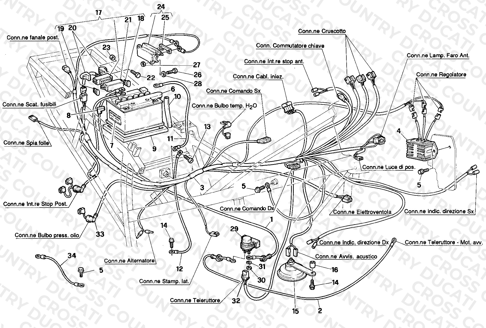 Wiring Harness