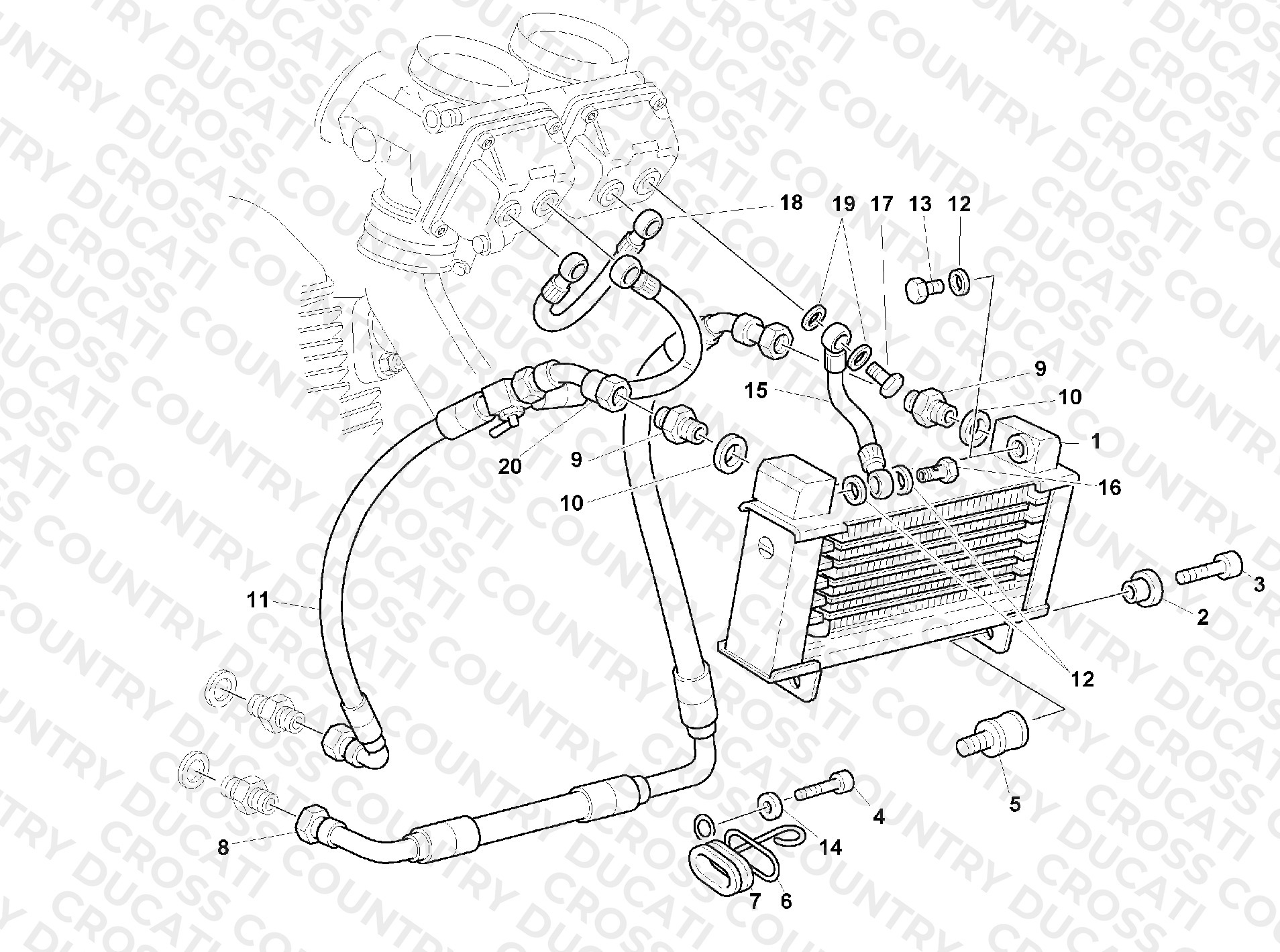 Oil Cooler
