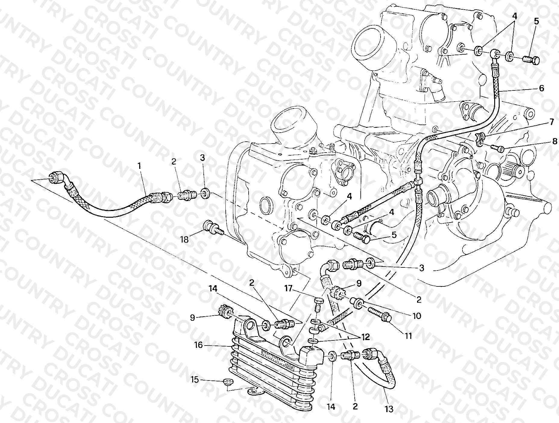 Oil Cooler