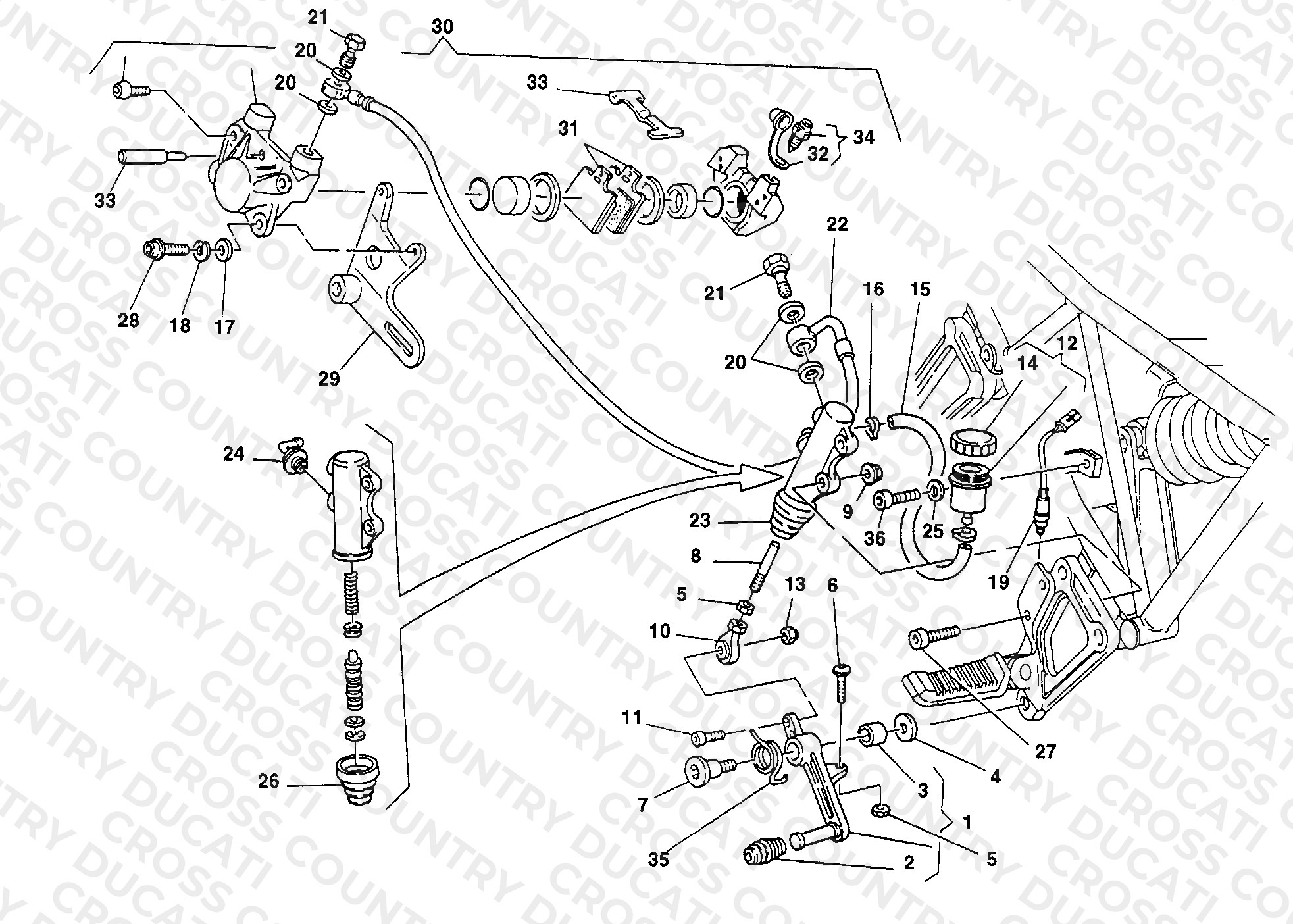 Rear Brake System