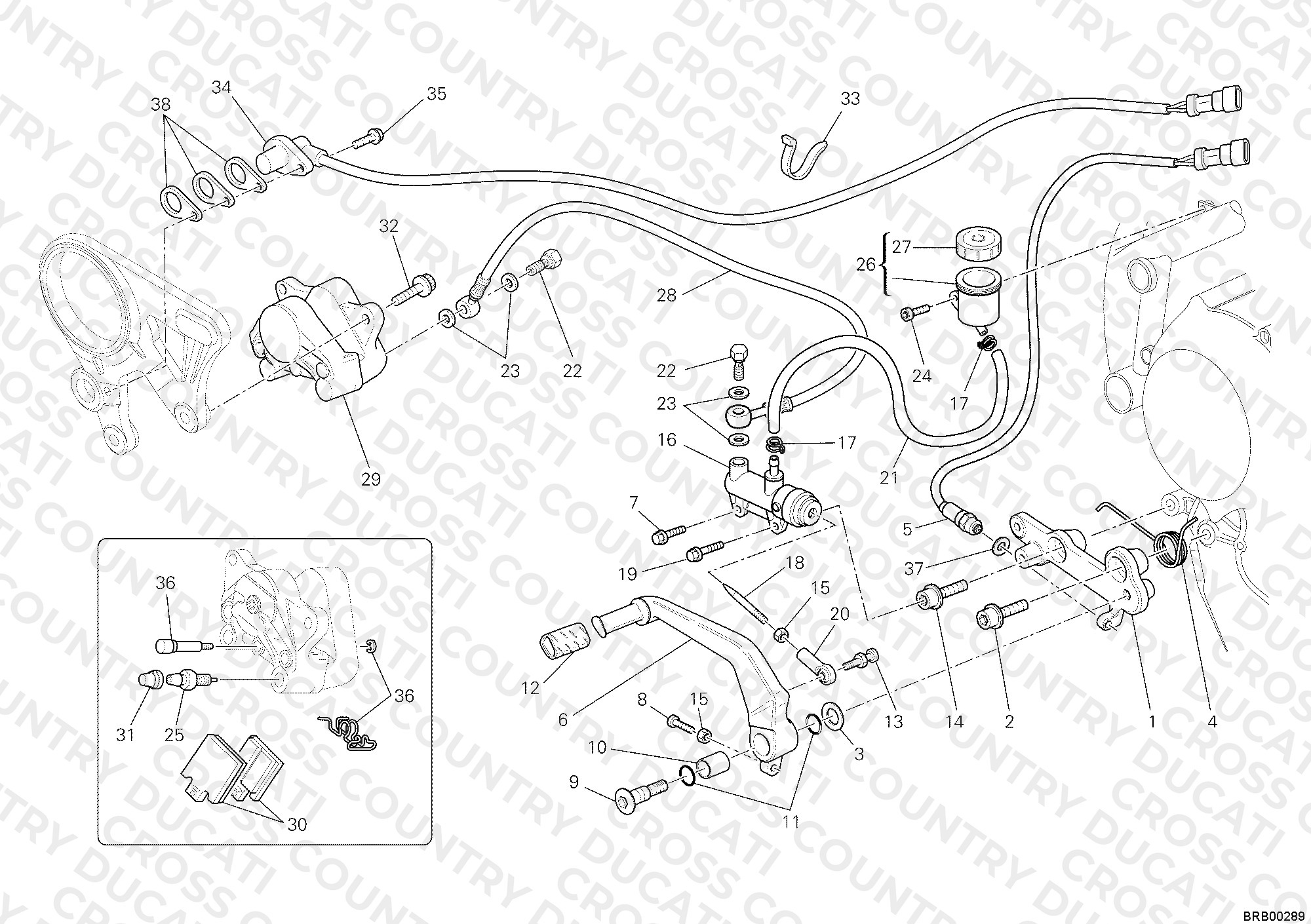 Rear Brake System