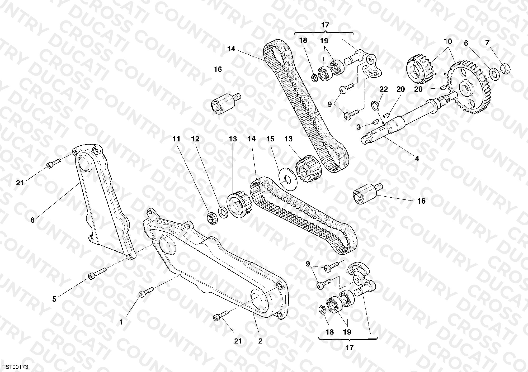 Timing Belt