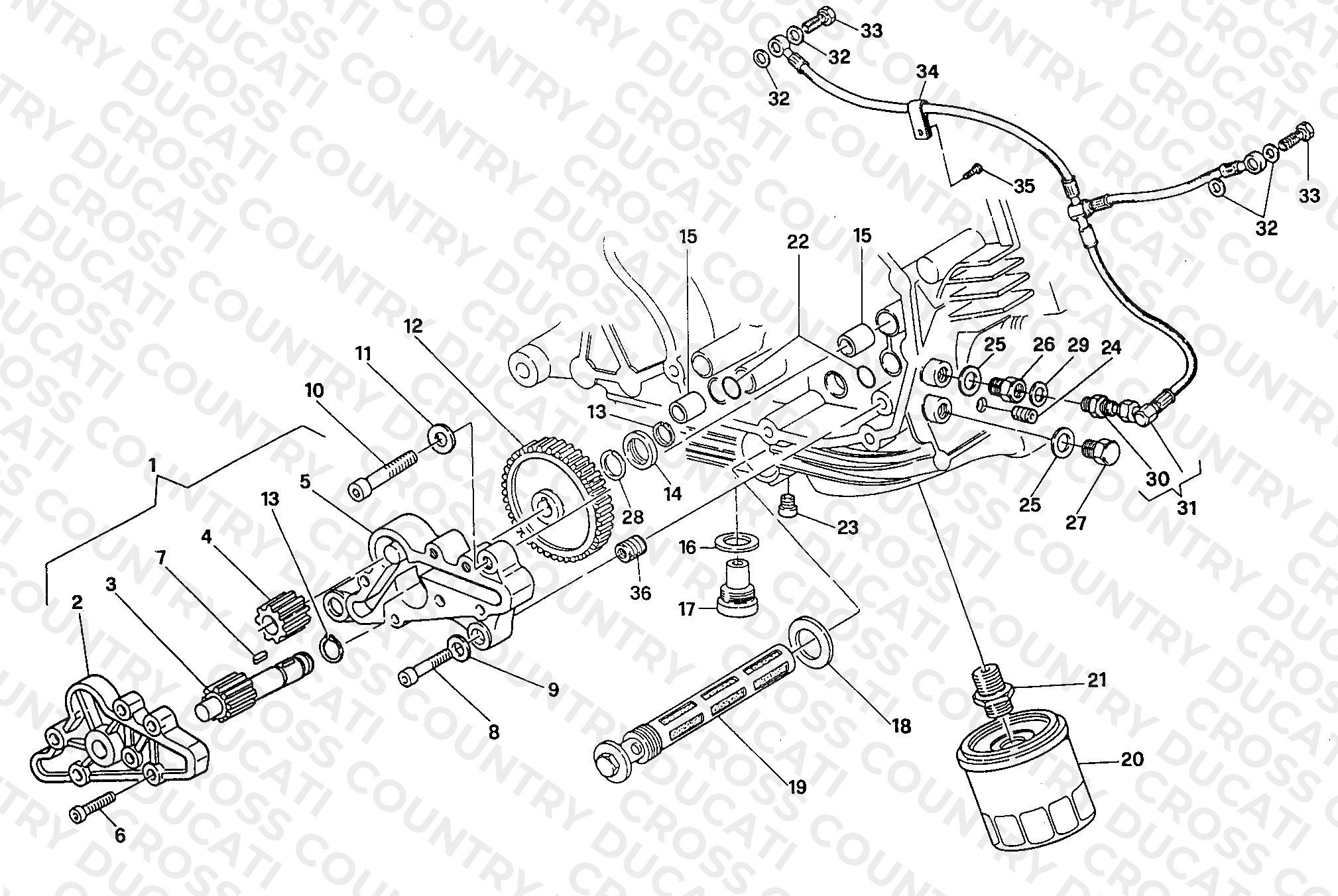 Oil Pump - Filter