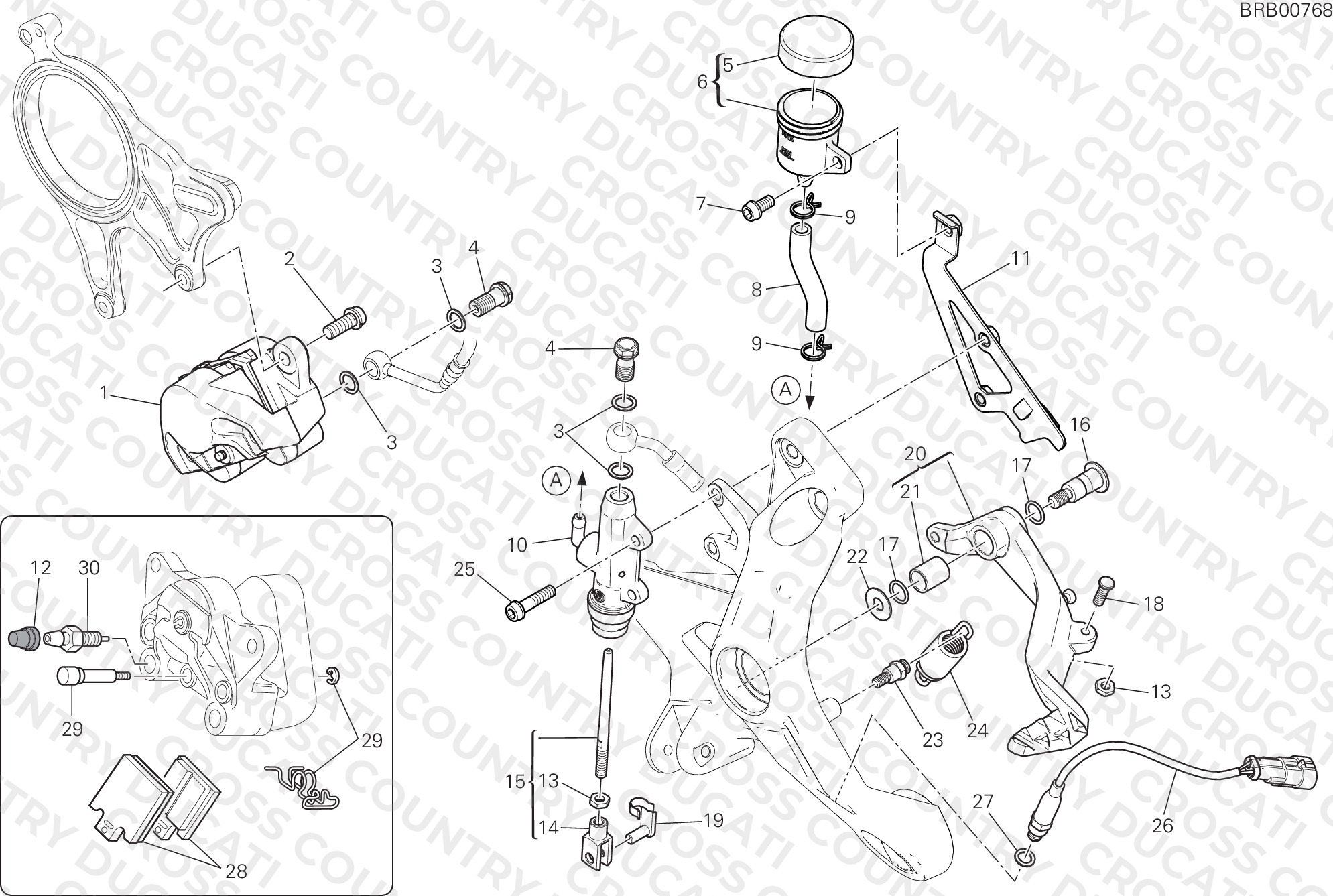 Rear Brake System