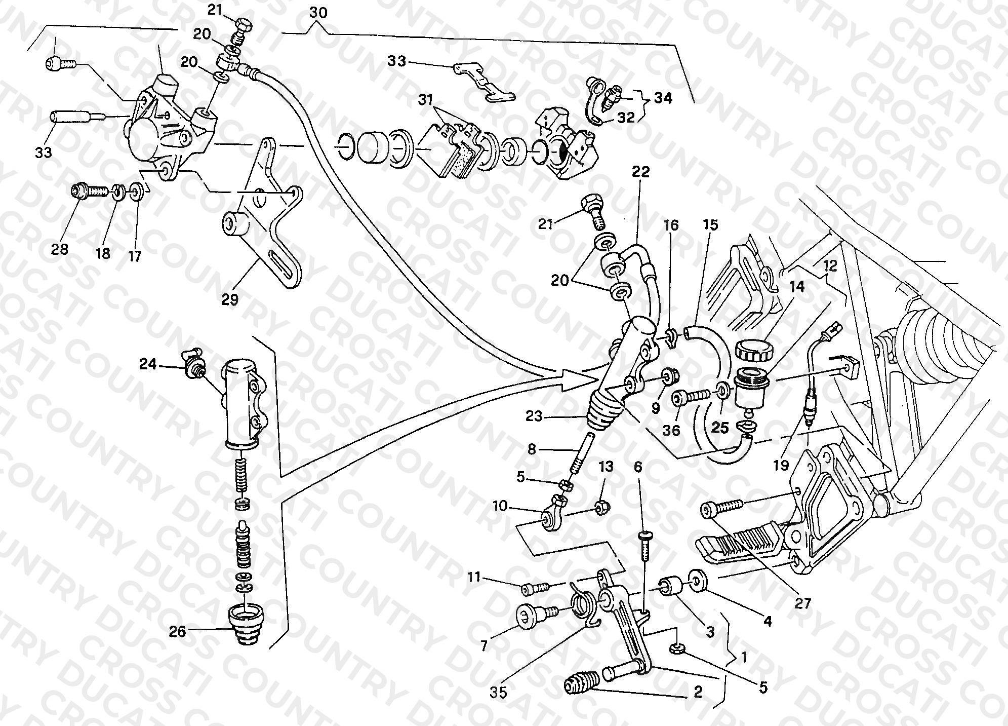 Rear Brake System