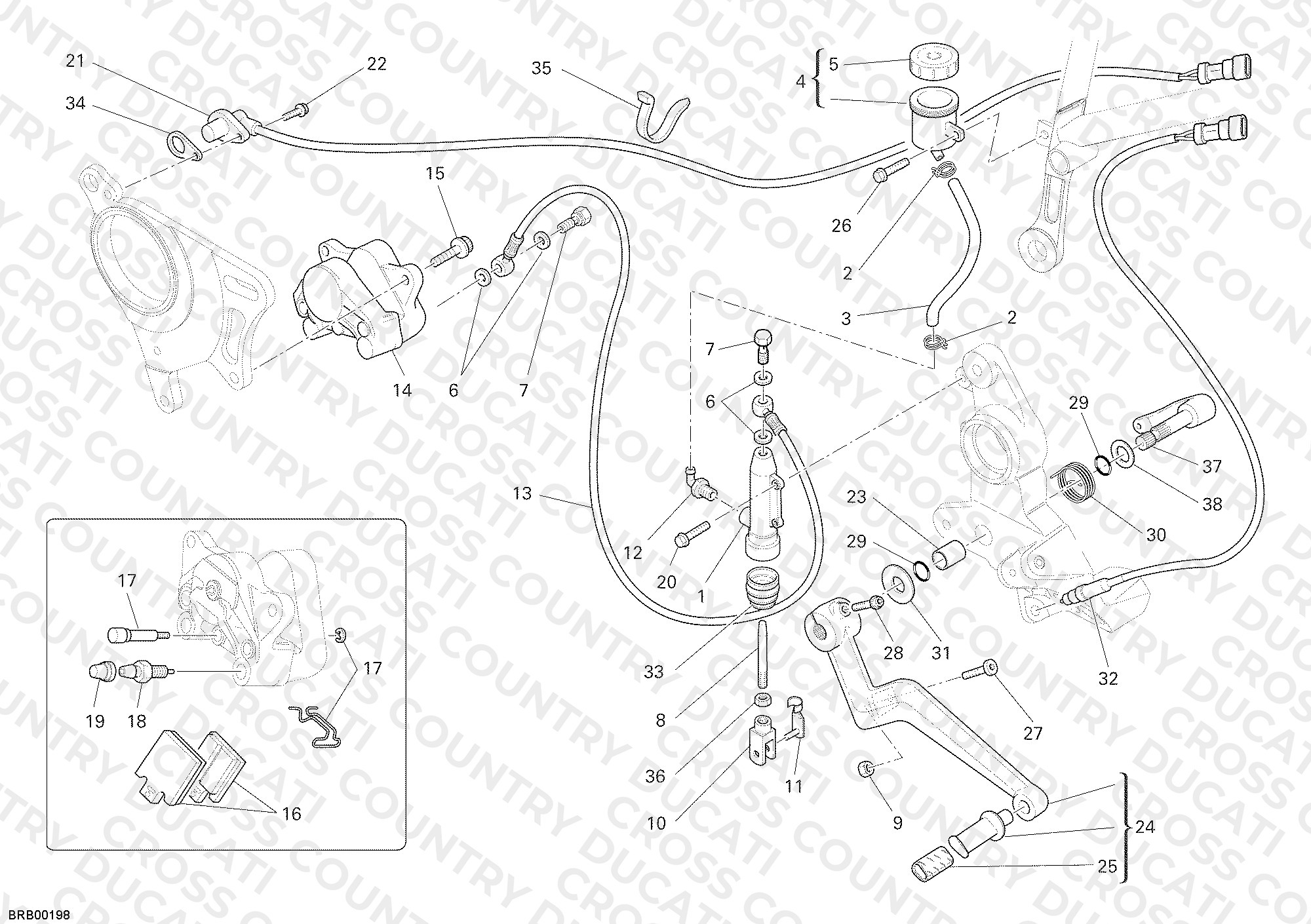 Rear Brake System