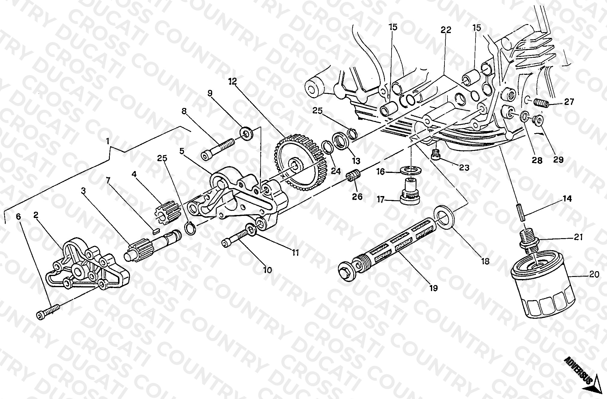 Oil Pump - Filter