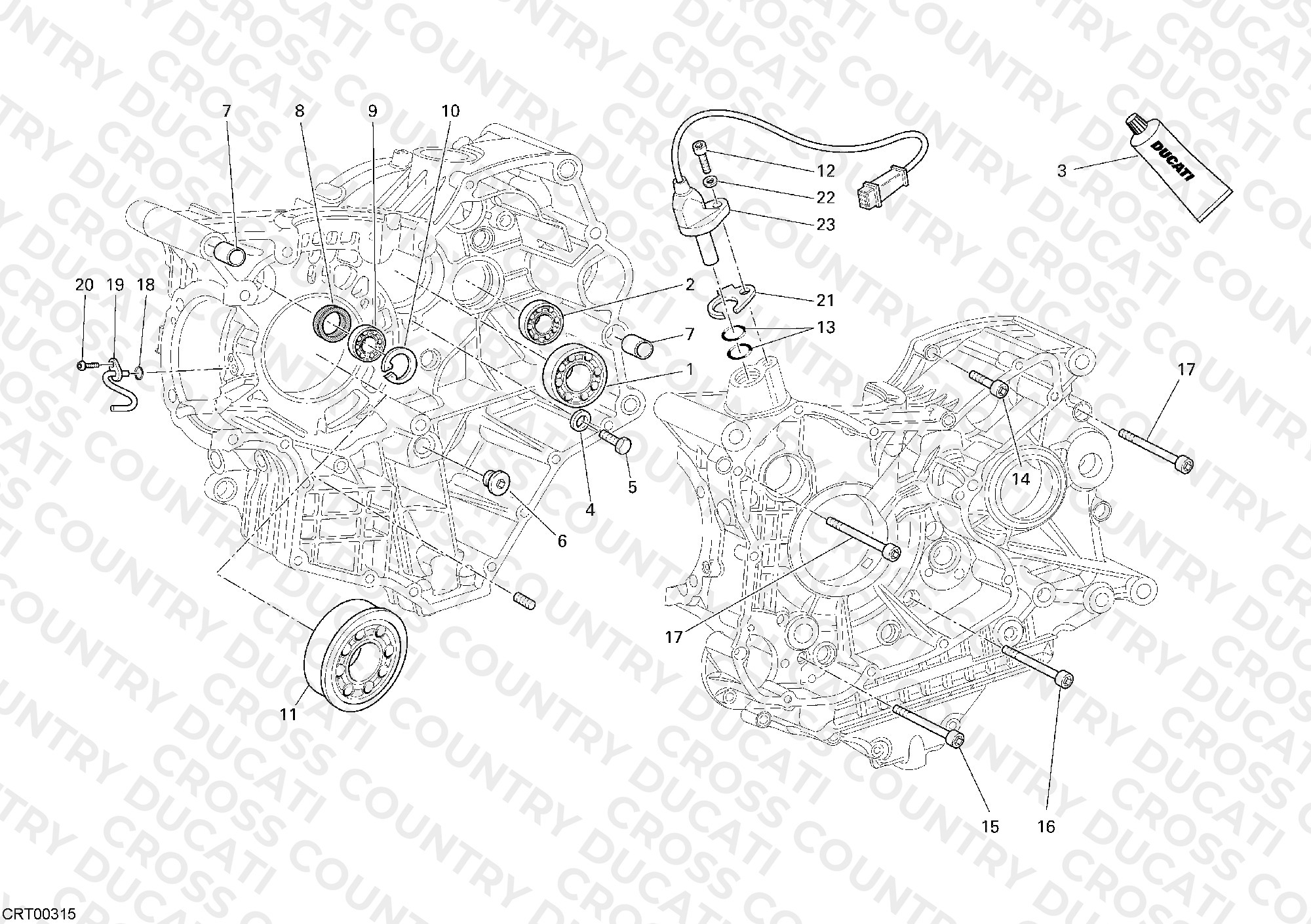 Crankcase Bearings