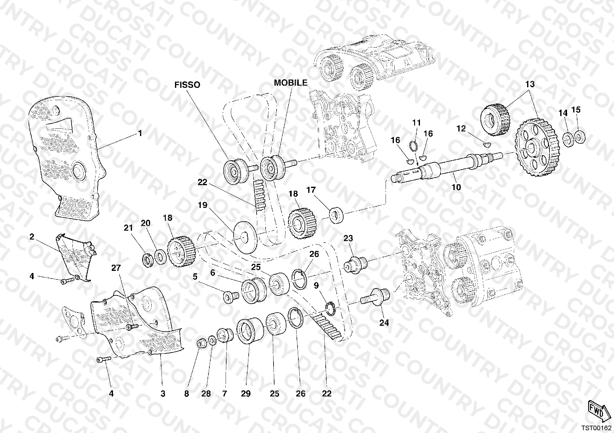 Timing Belt