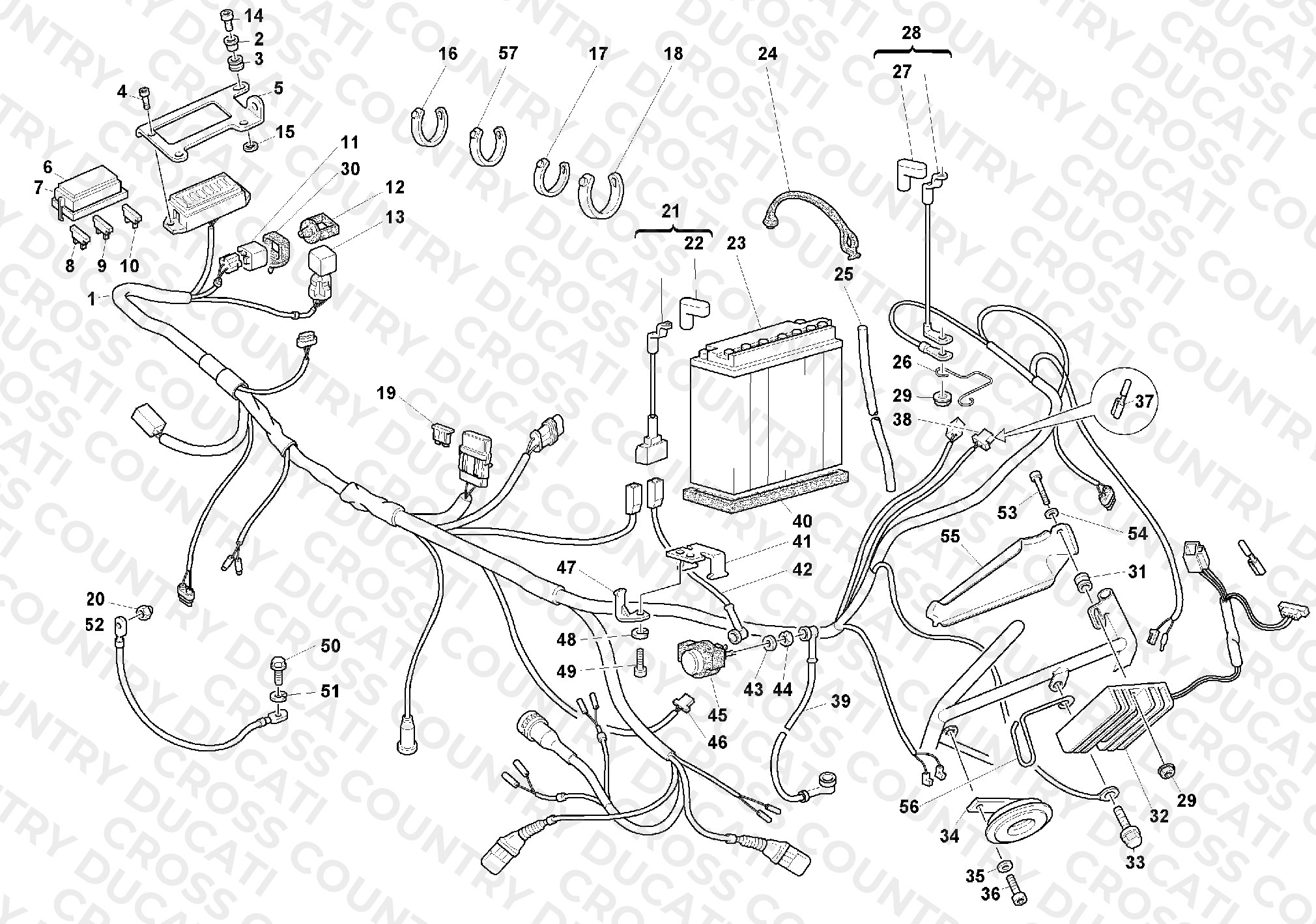 Wiring Harness