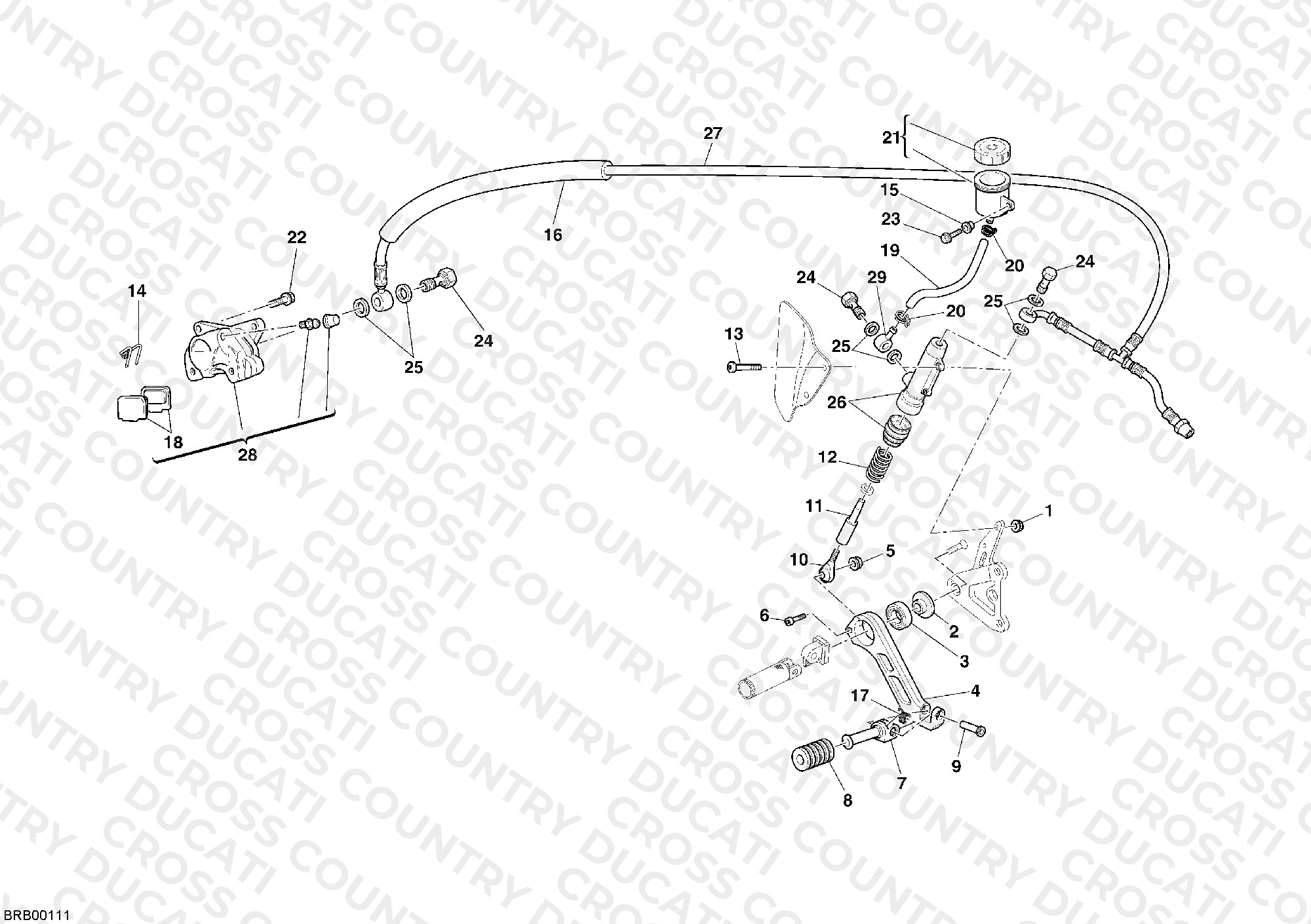 Rear Brake System