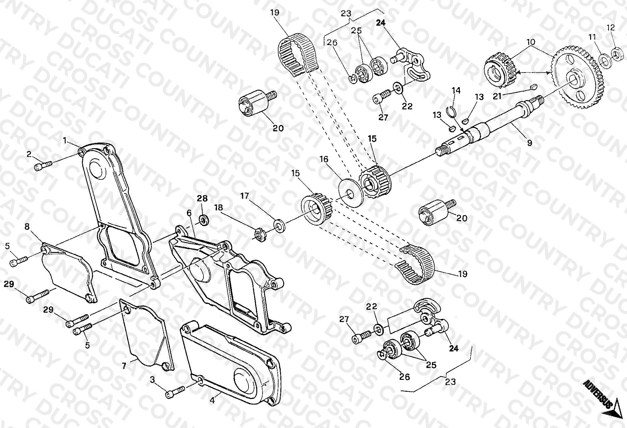 Timing Belt