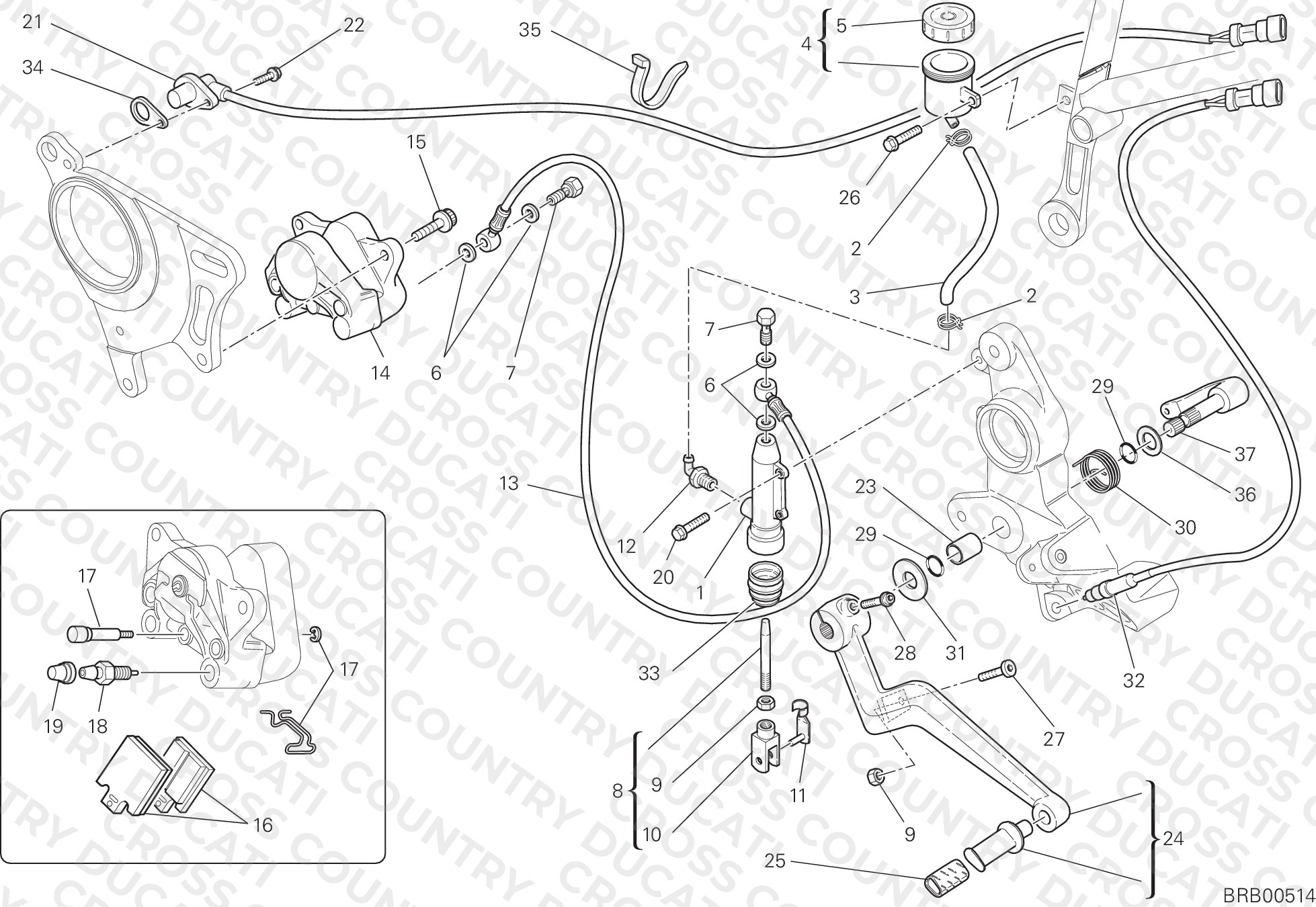 Rear Brake System