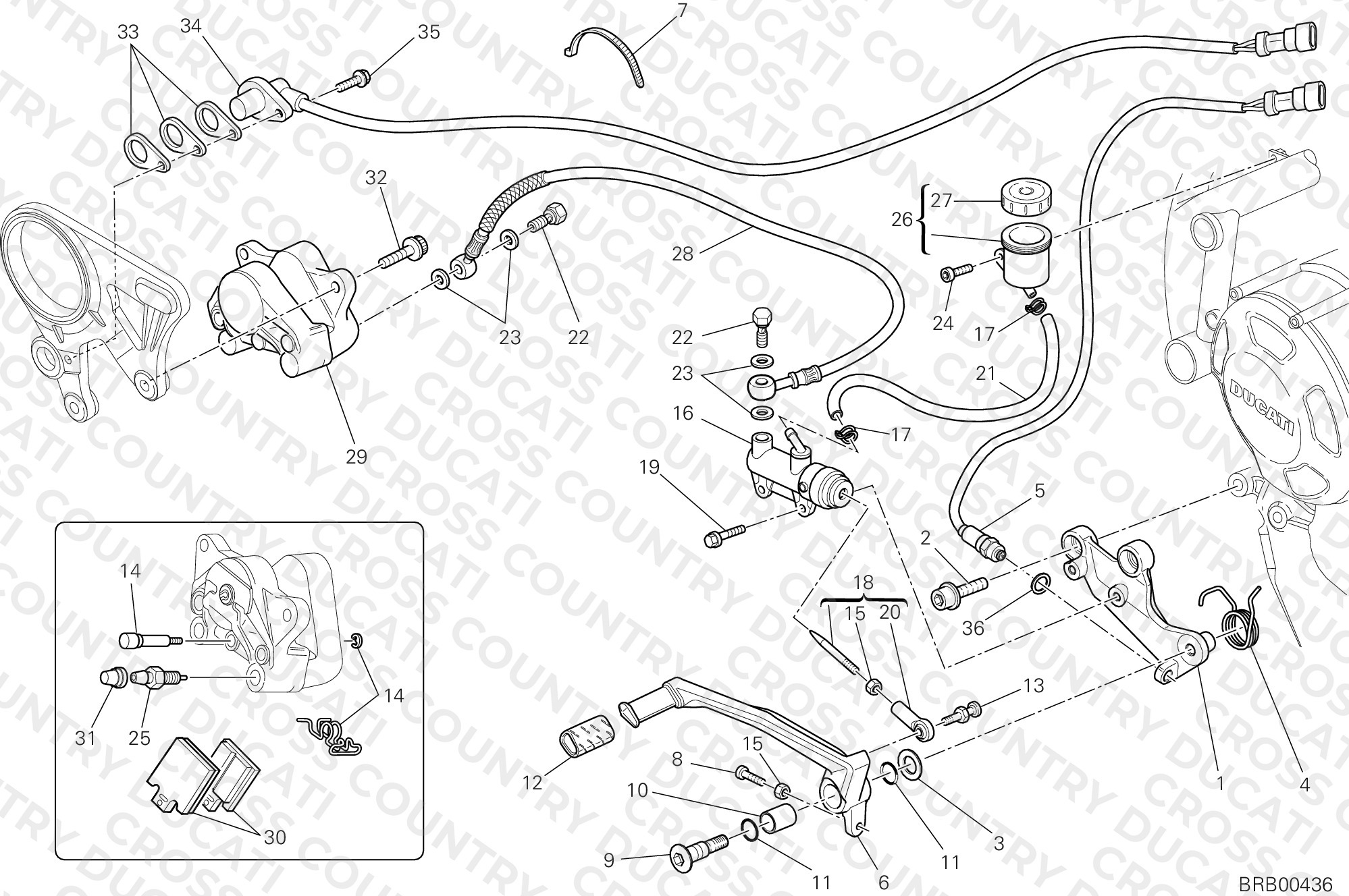 Rear Brake System