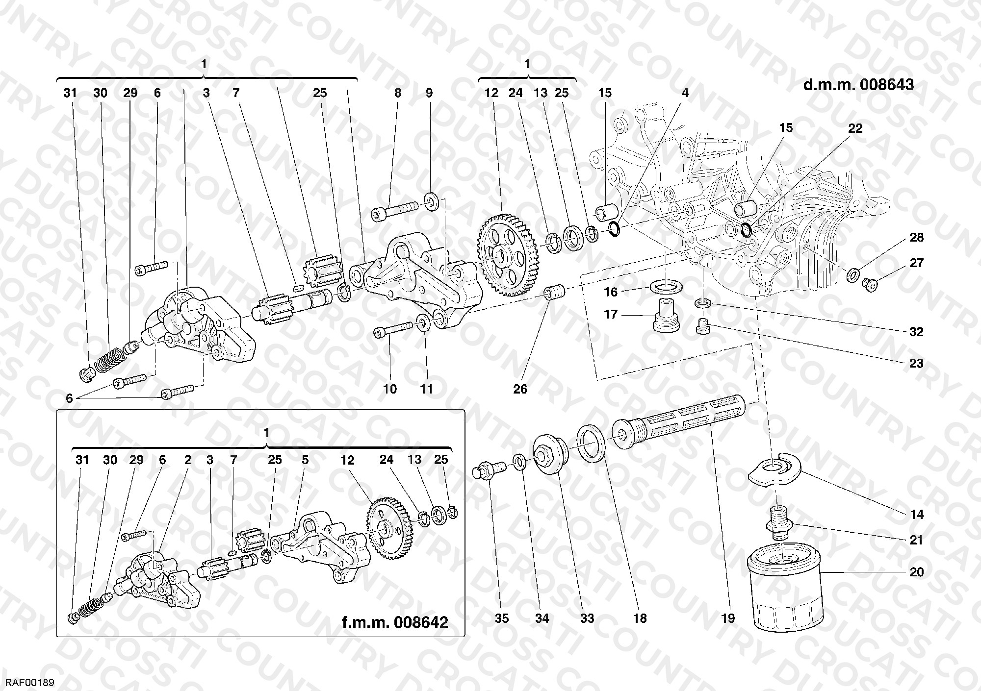 Oil Pump - Filter