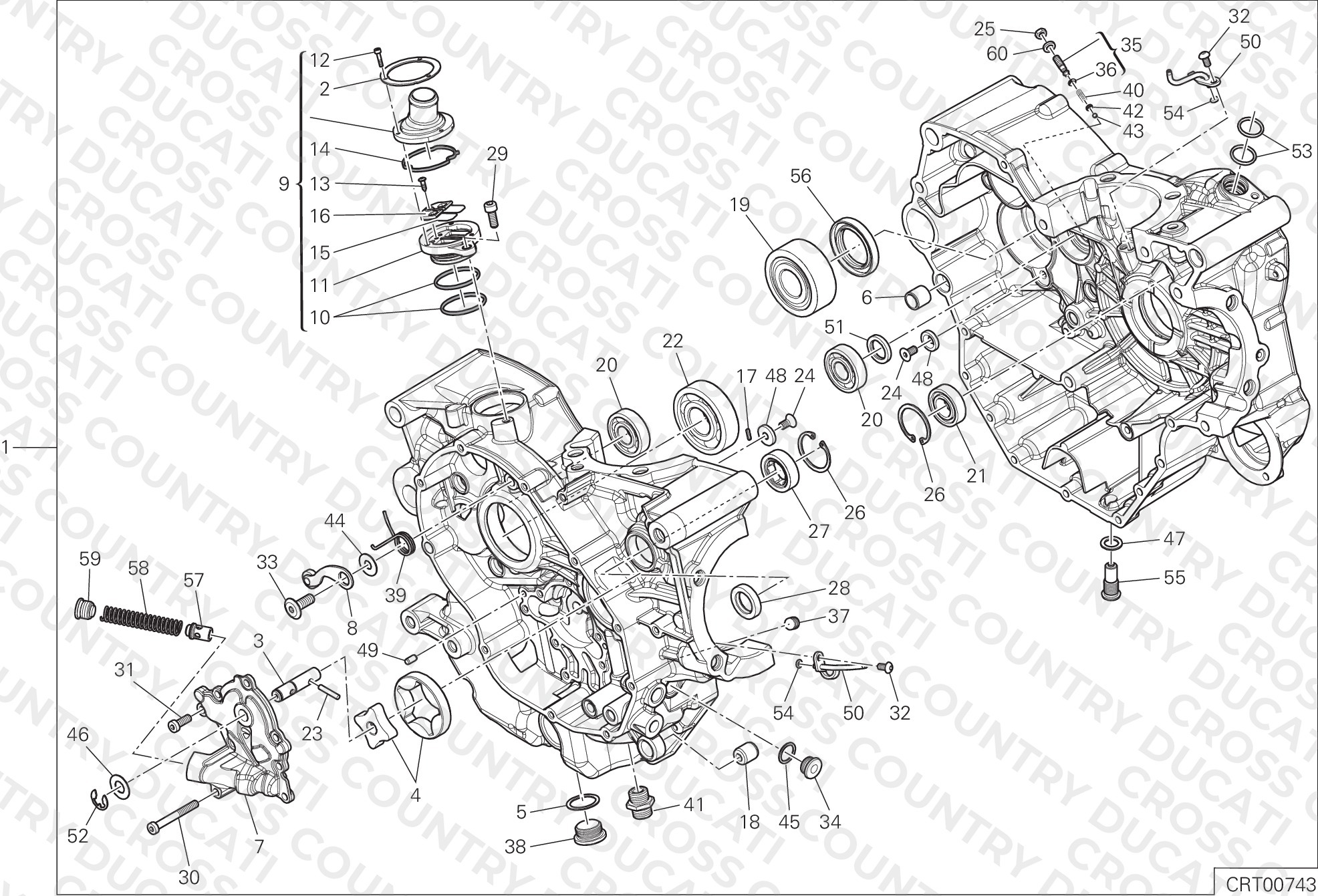 Half-Crankcases Pair