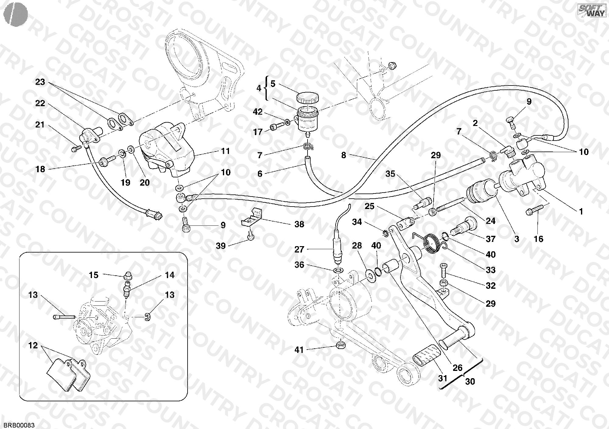 Rear Brake System