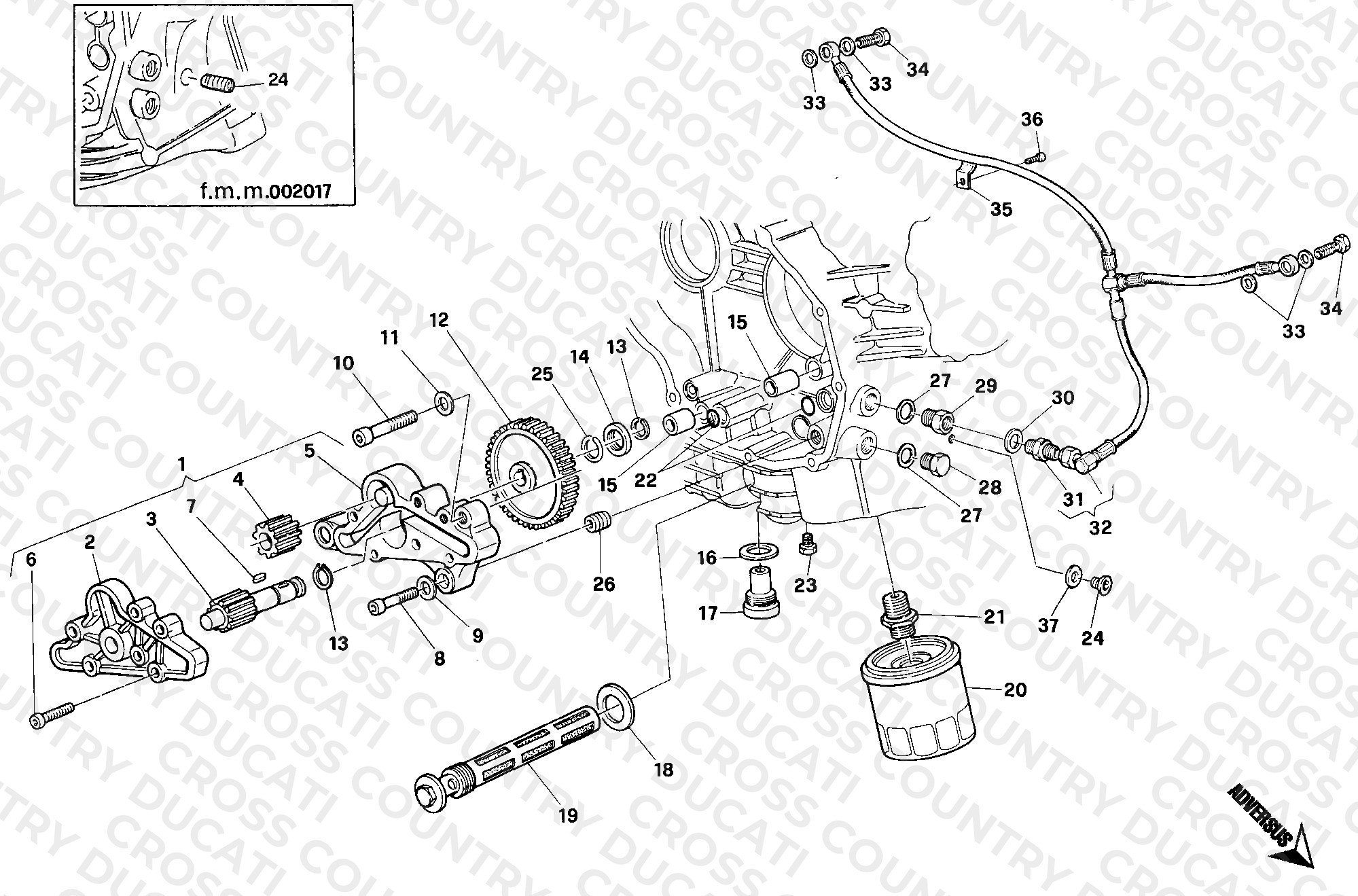 Oil Pump - Filter Dual Seater