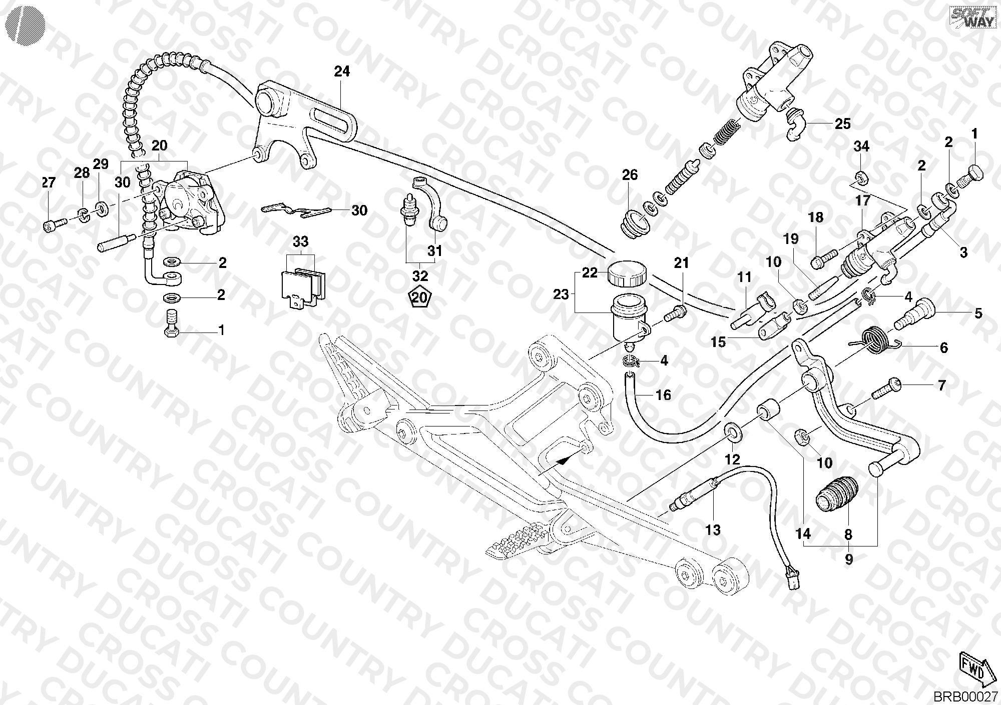 Rear Brake System
