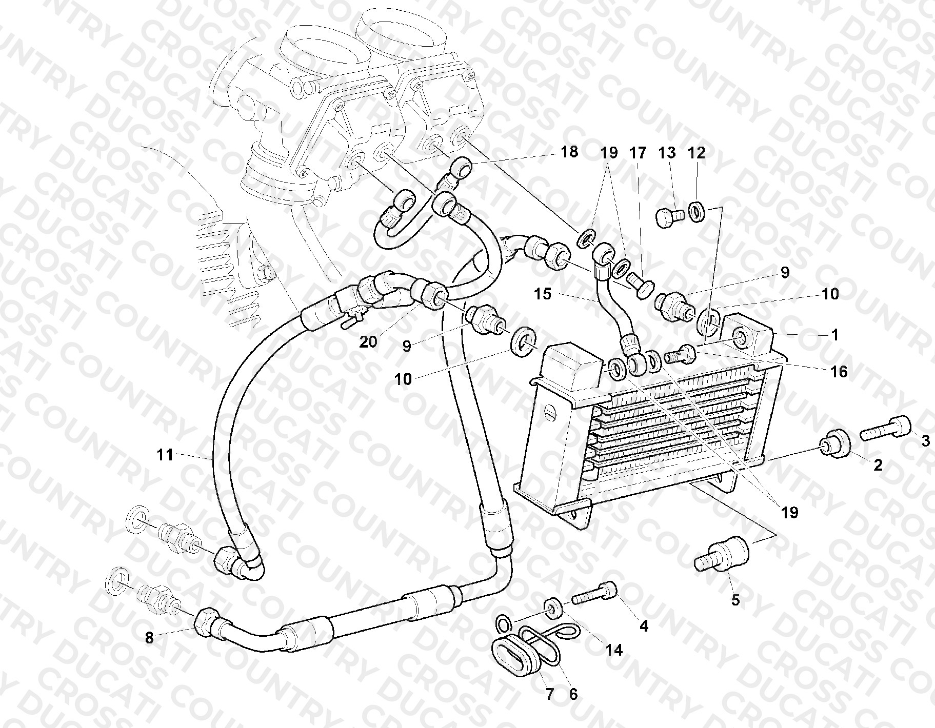 Oil Cooler