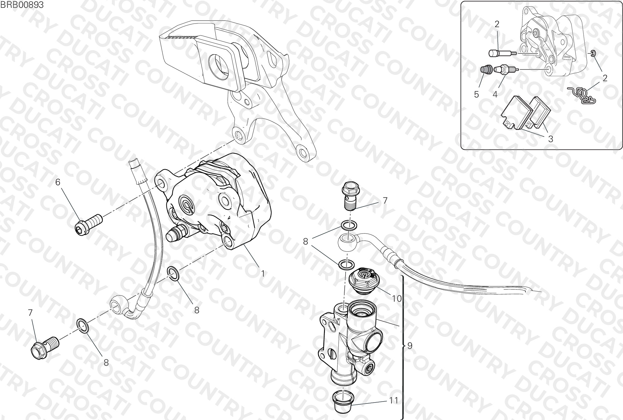 Rear Brake System