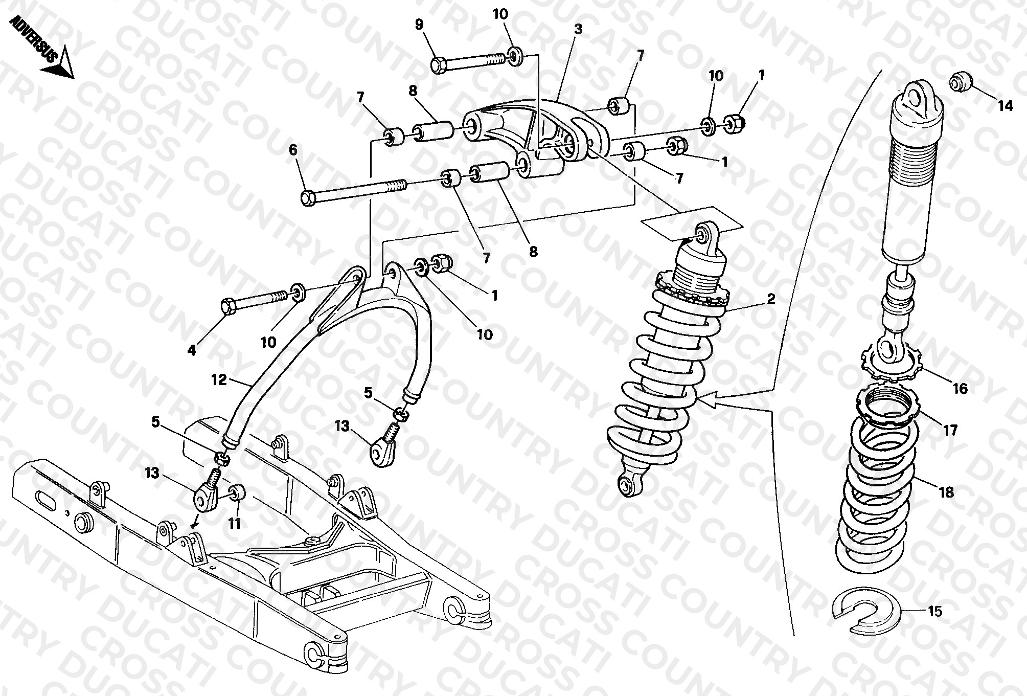 Rear Shock Absorber