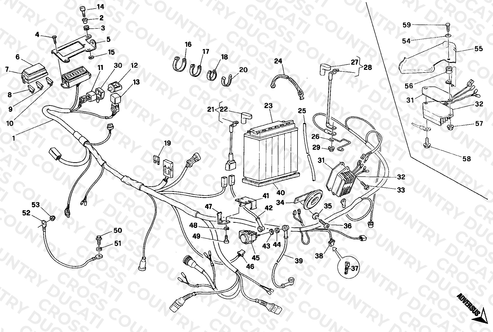Wiring Harness