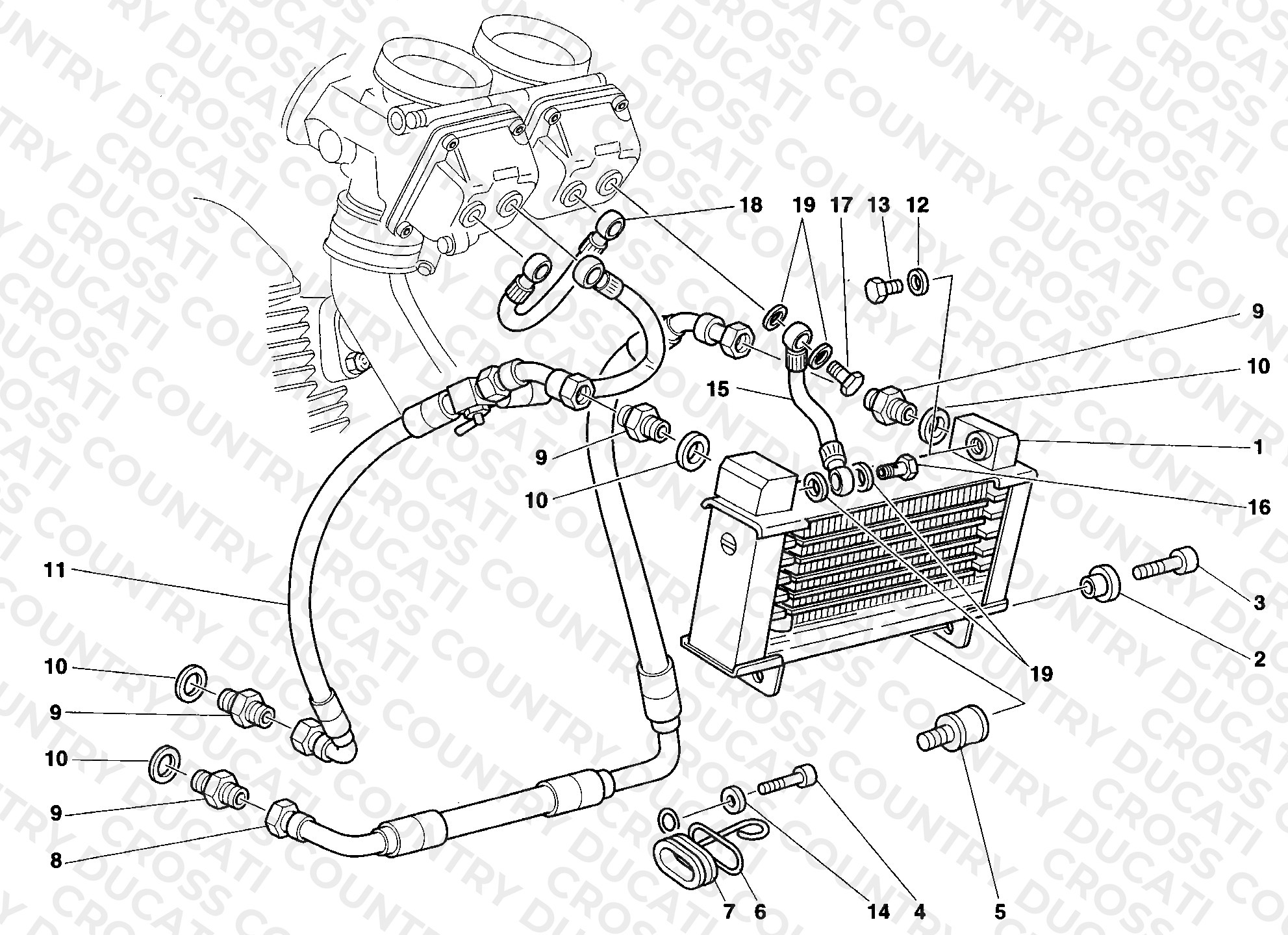 Oil Cooler