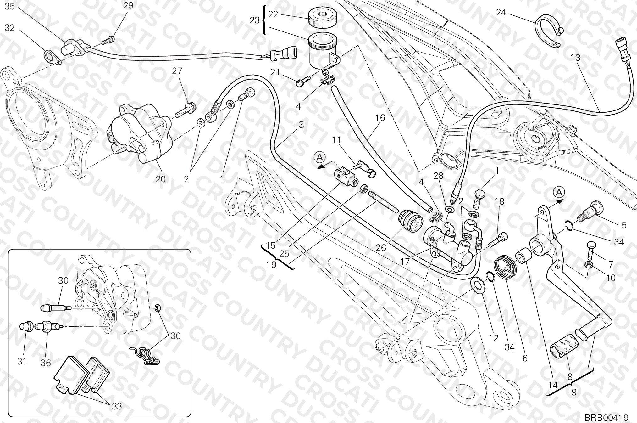 Rear Brake System
