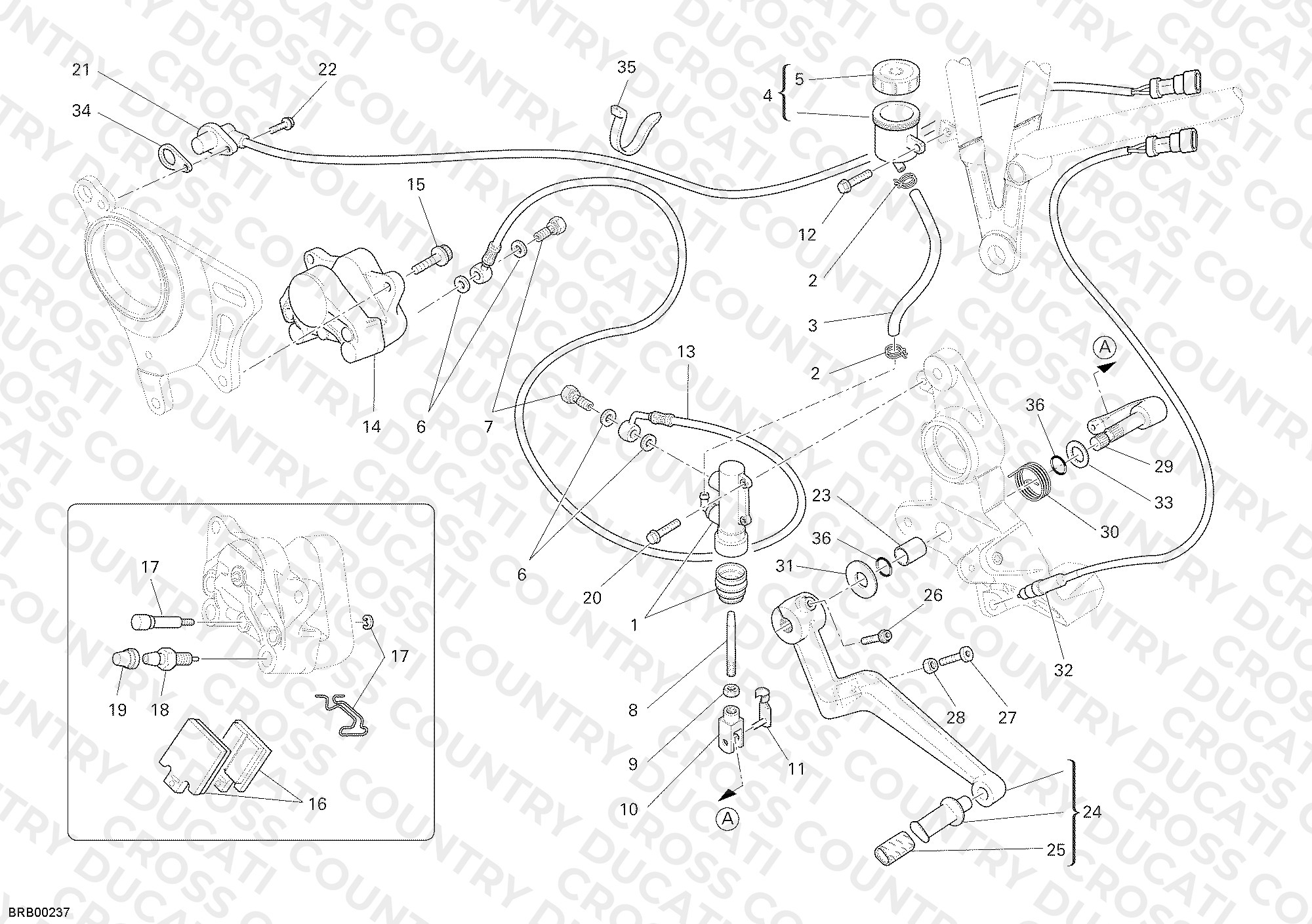 Rear Brake System