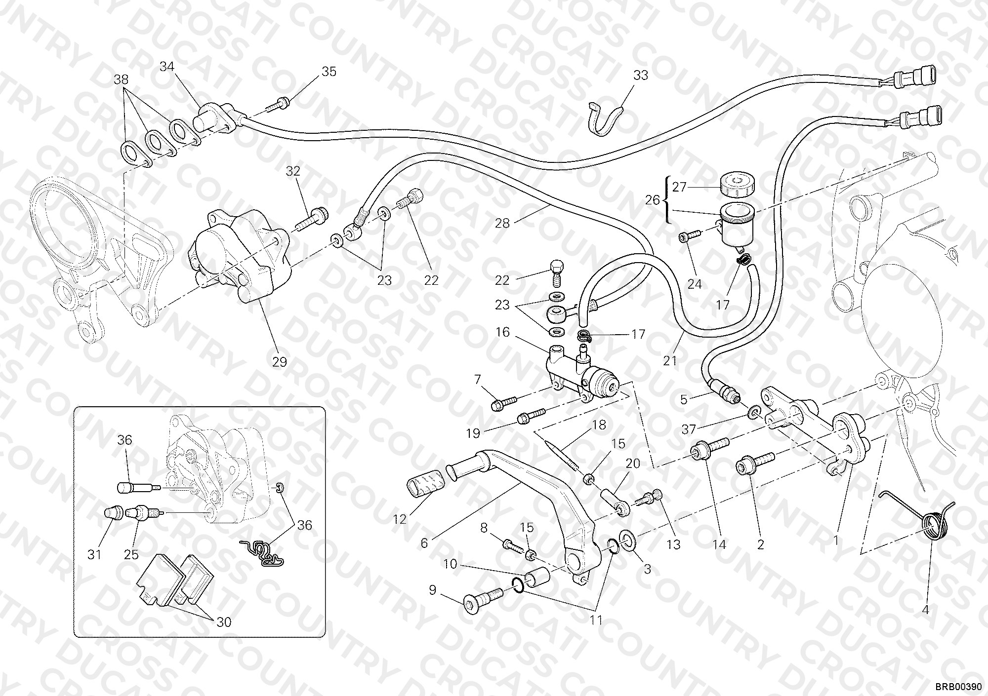 Rear Brake System